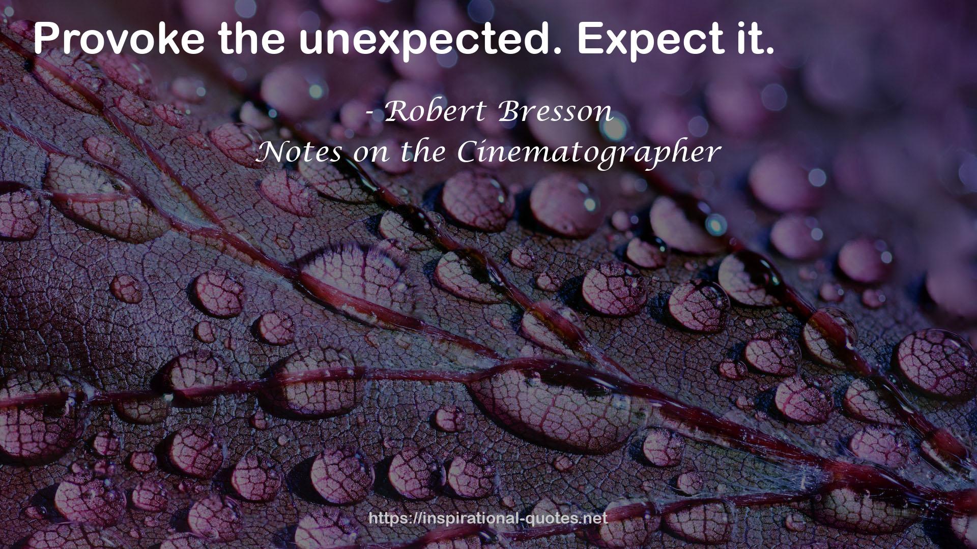 Robert Bresson QUOTES