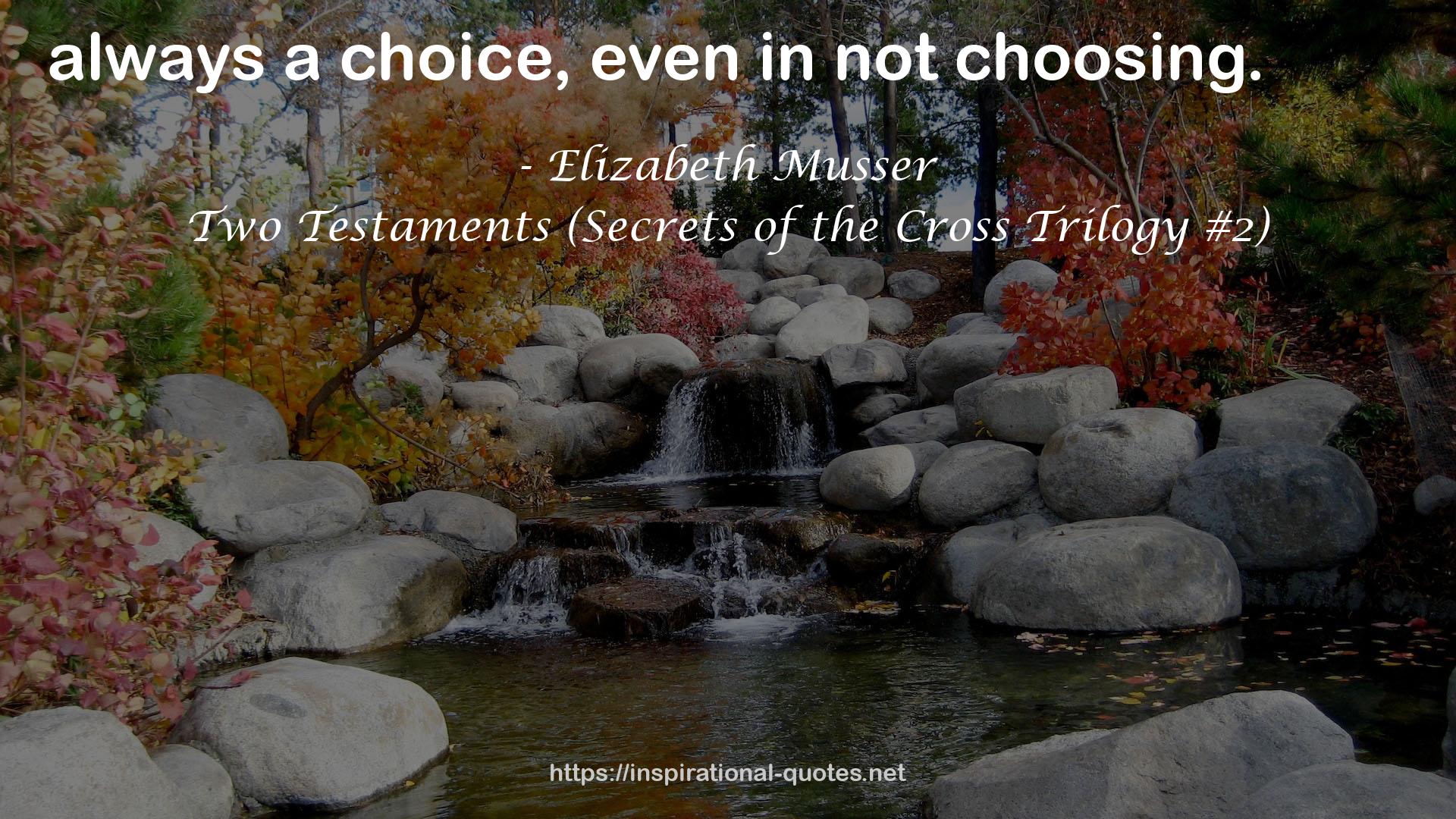 Two Testaments (Secrets of the Cross Trilogy #2) QUOTES