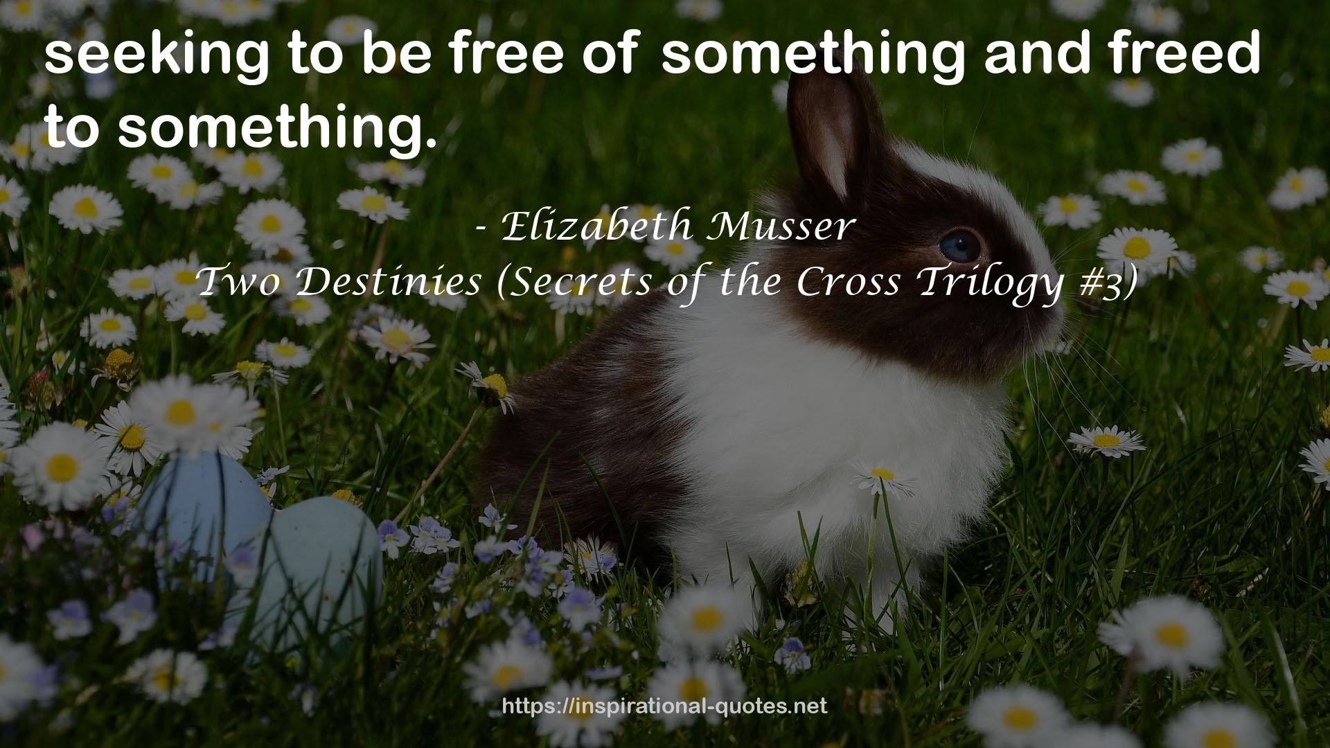 Two Destinies (Secrets of the Cross Trilogy #3) QUOTES