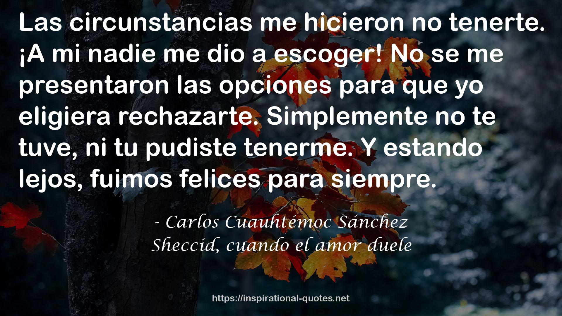 Sheccid, cuando el amor duele QUOTES