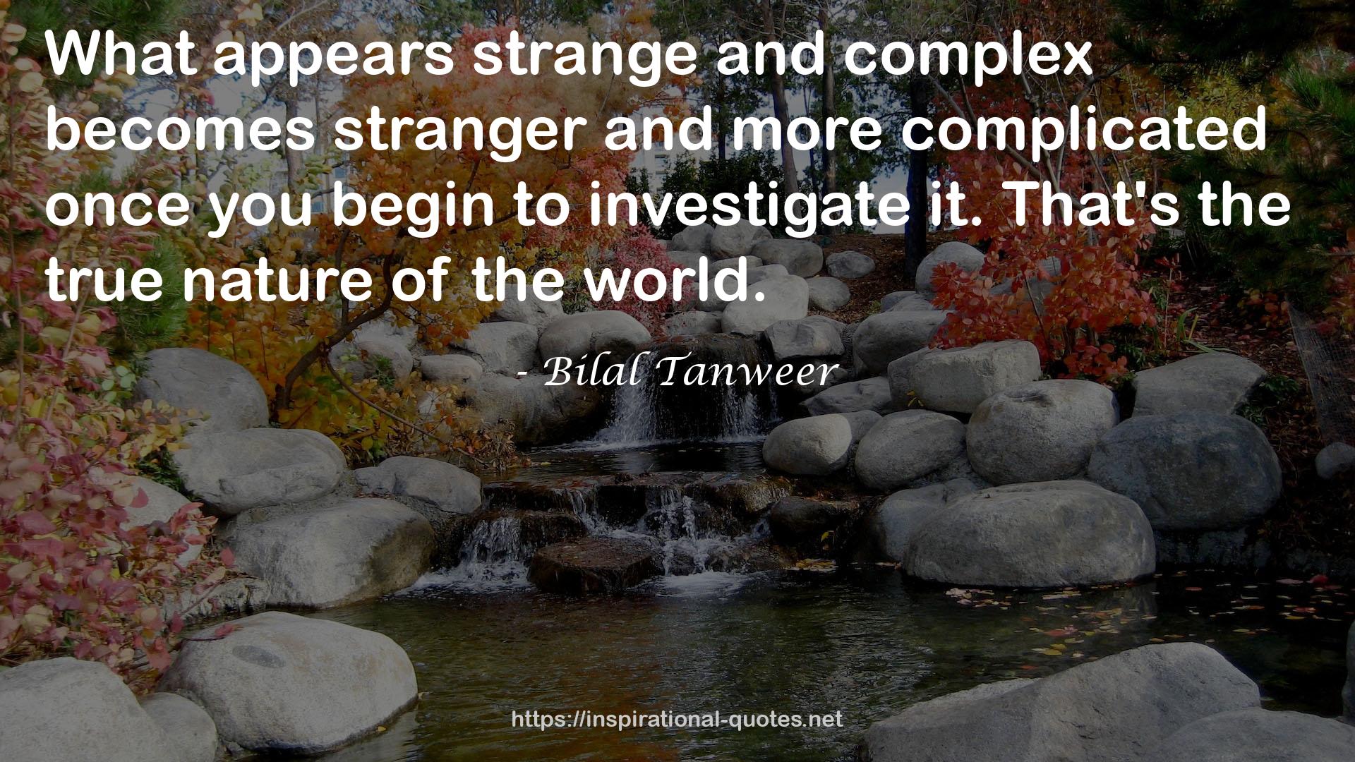 Bilal Tanweer QUOTES