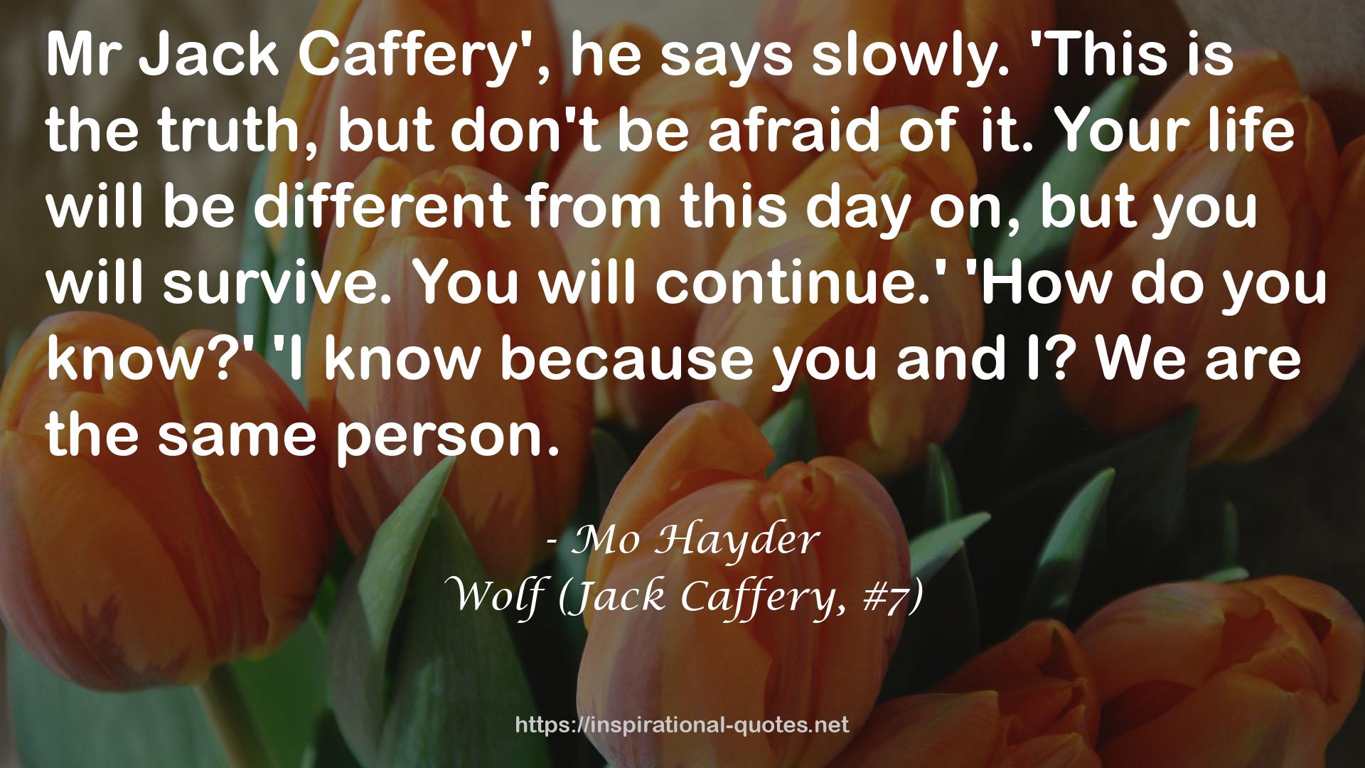 Wolf (Jack Caffery, #7) QUOTES