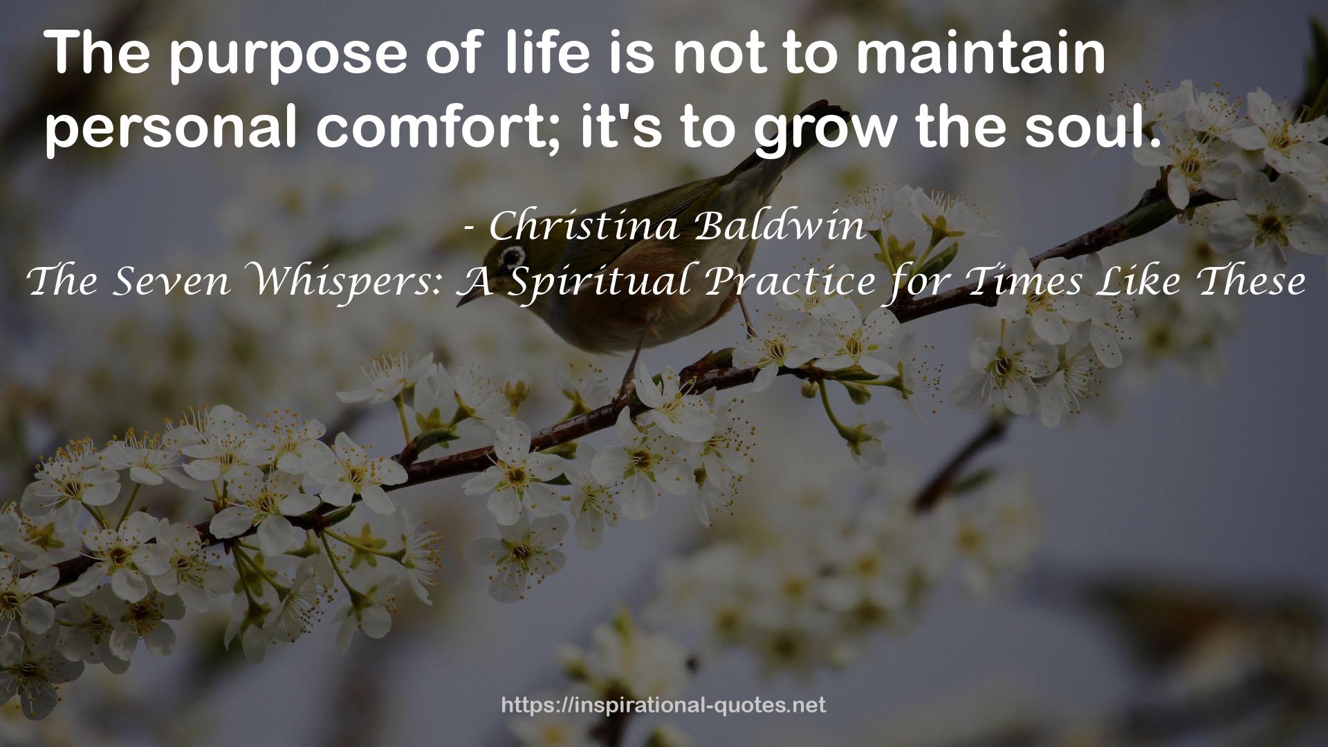 The Seven Whispers: A Spiritual Practice for Times Like These QUOTES