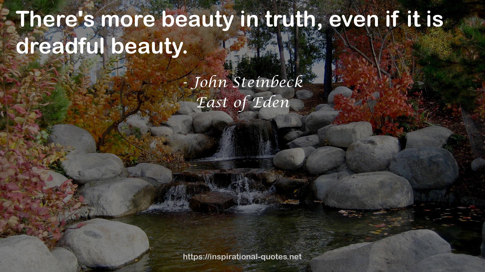 more beauty  QUOTES