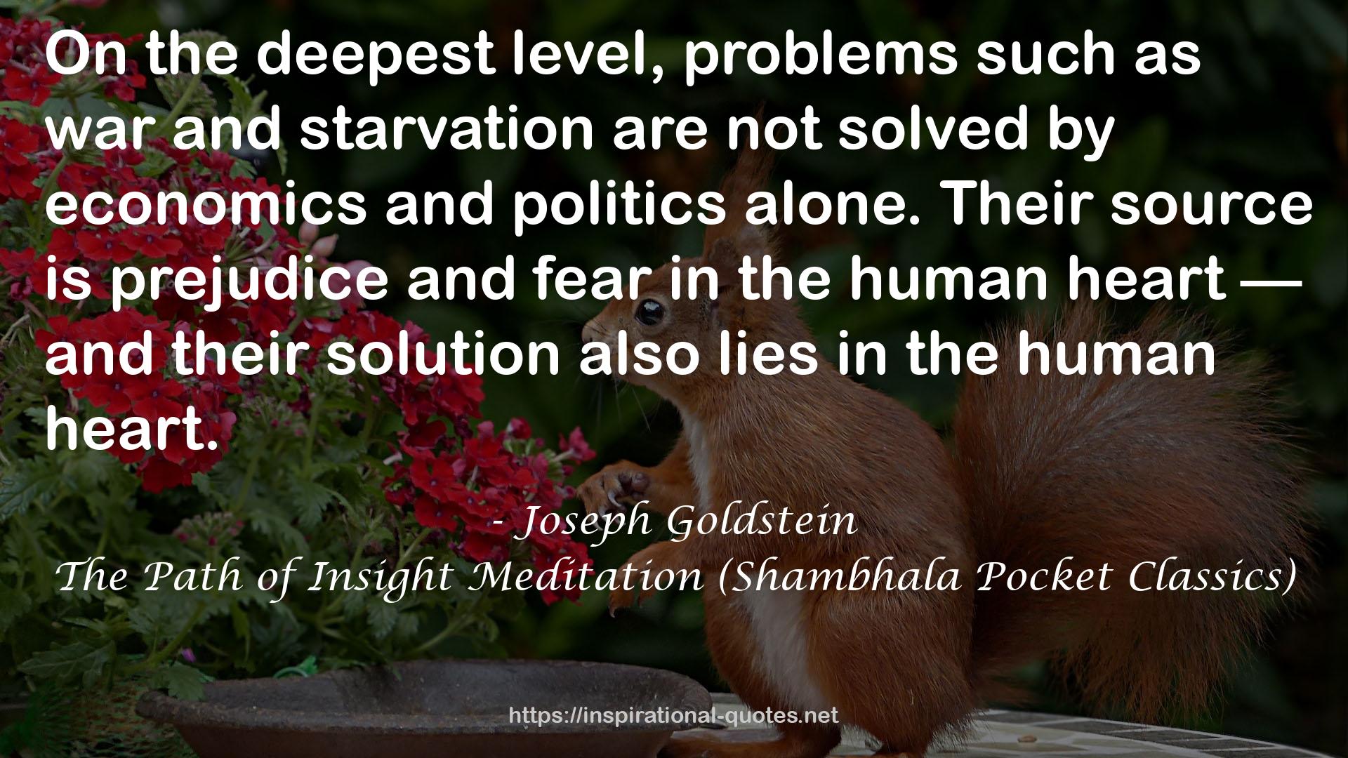 The Path of Insight Meditation (Shambhala Pocket Classics) QUOTES