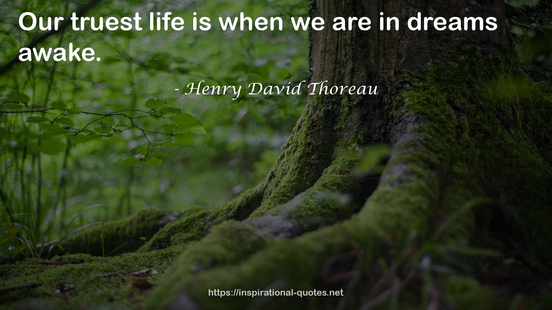 Henry David Thoreau QUOTES