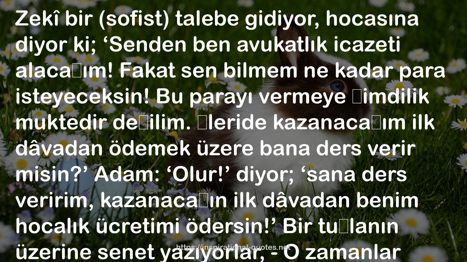 Batı Tefekkürü ve İslâm Tasavvufu QUOTES