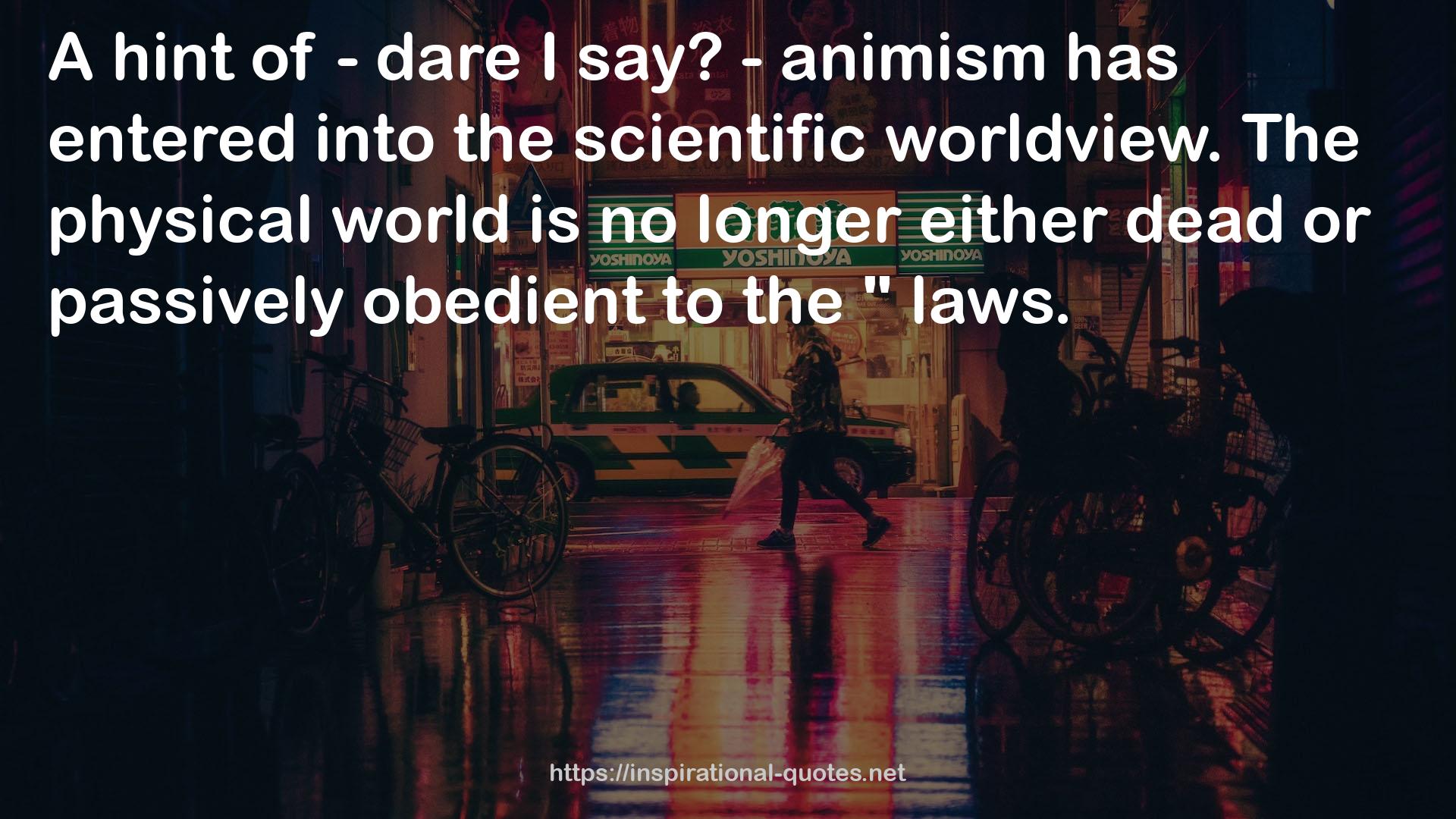 - animism  QUOTES