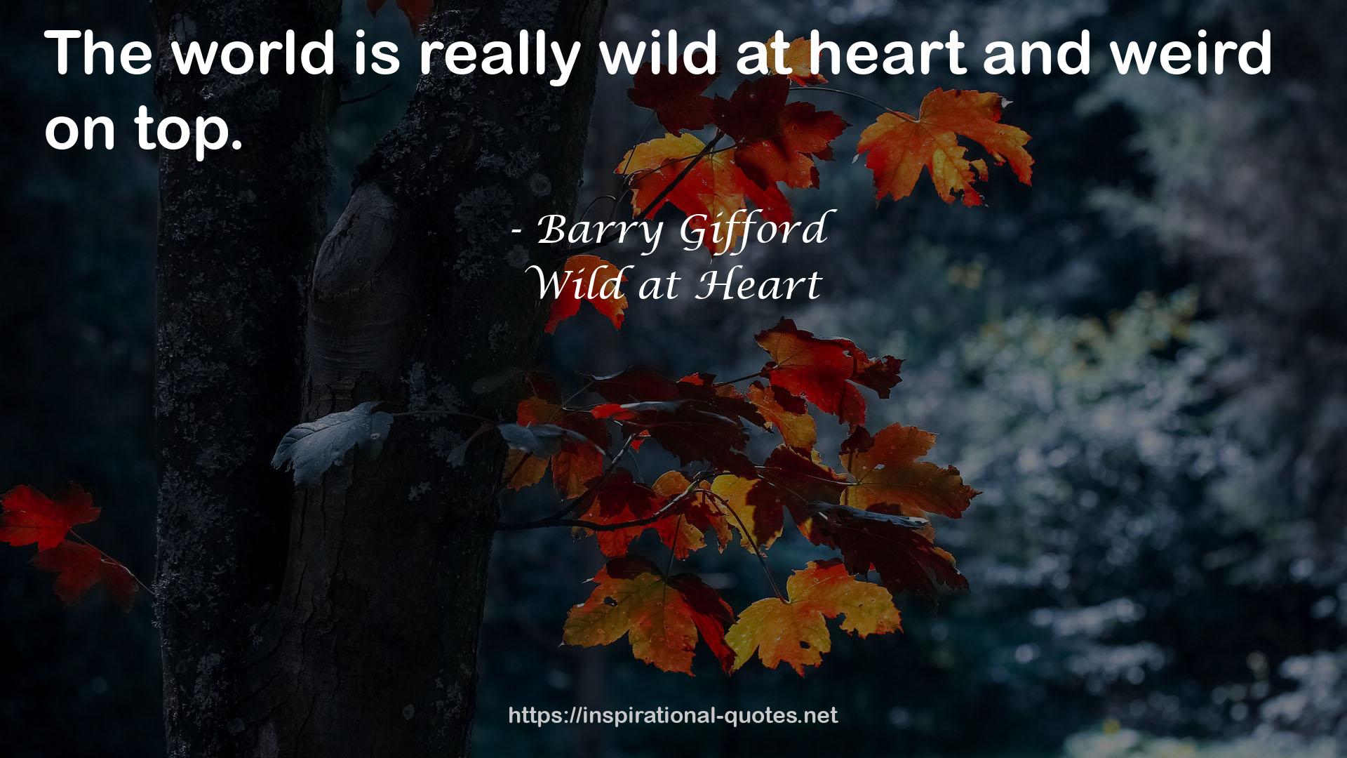 Wild at Heart QUOTES