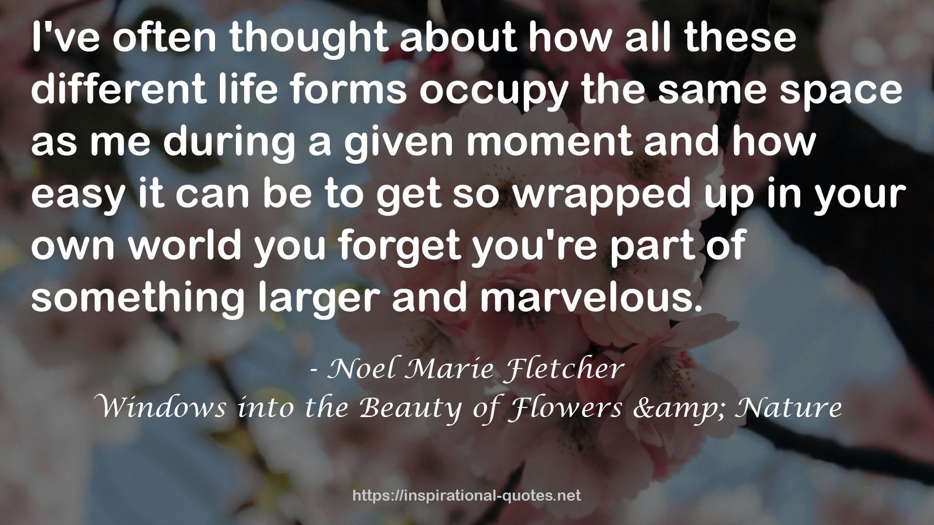 Windows into the Beauty of Flowers & Nature QUOTES