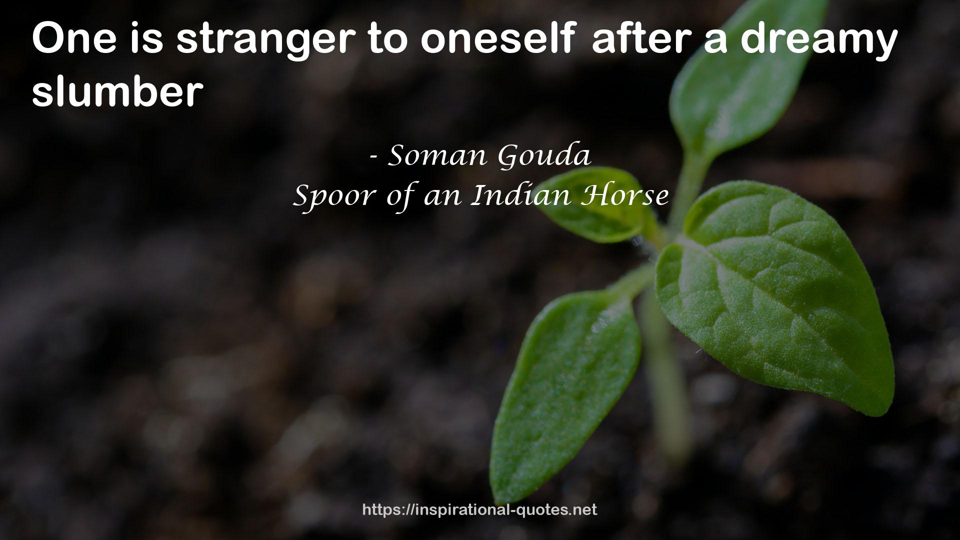 Spoor of an Indian Horse QUOTES