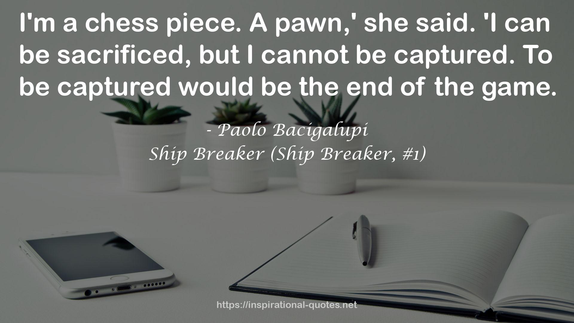 Ship Breaker (Ship Breaker, #1) QUOTES