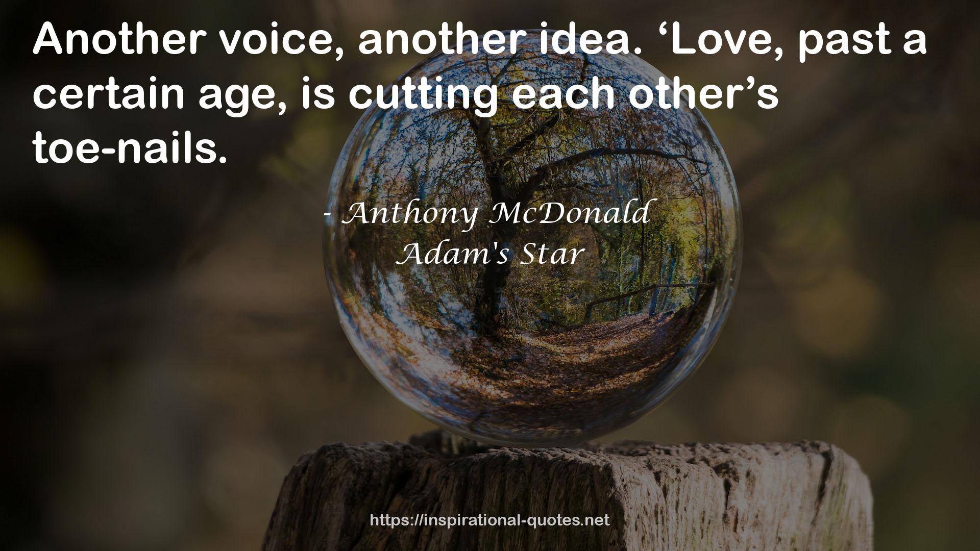 Adam's Star QUOTES