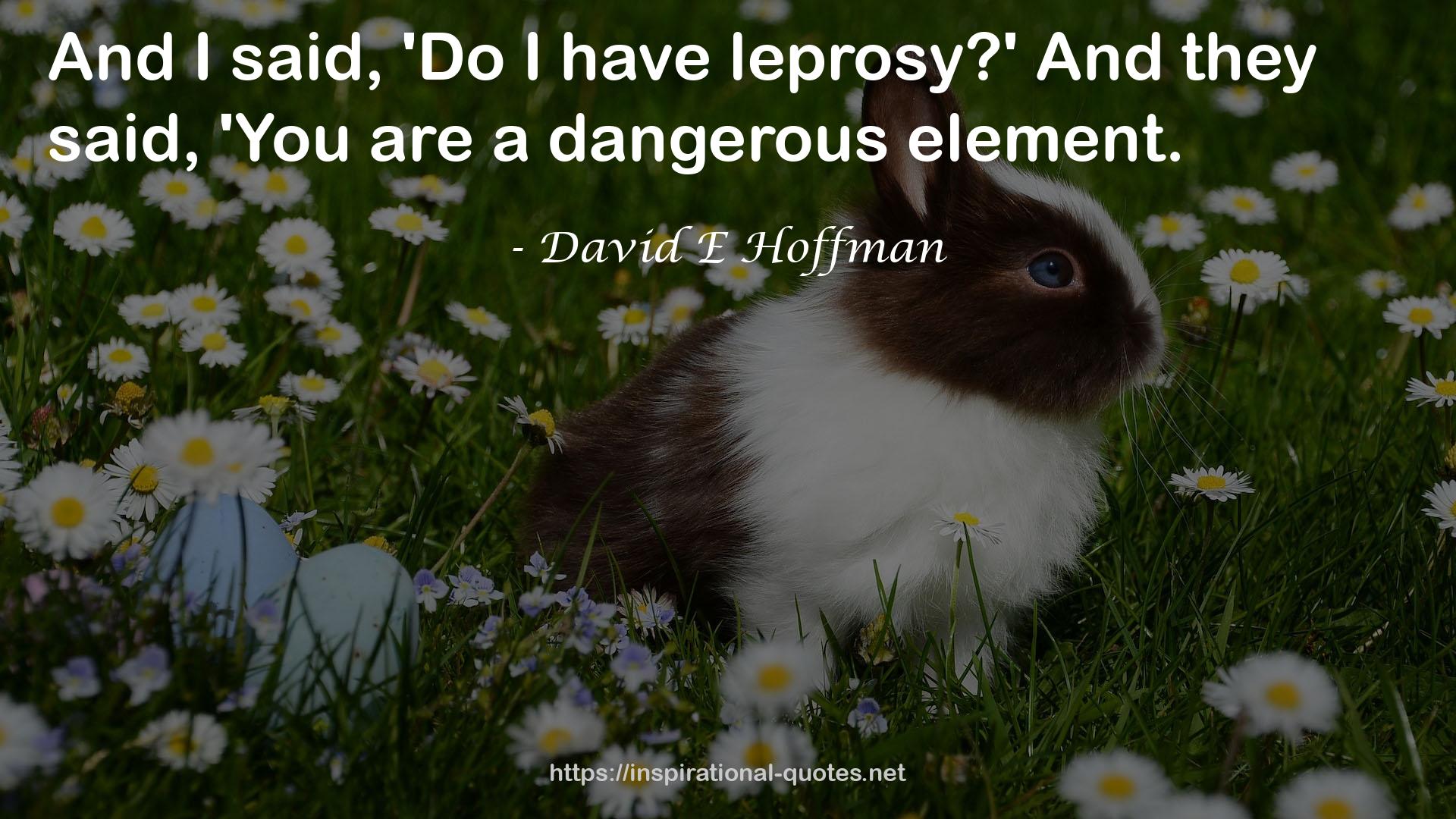 David E Hoffman QUOTES