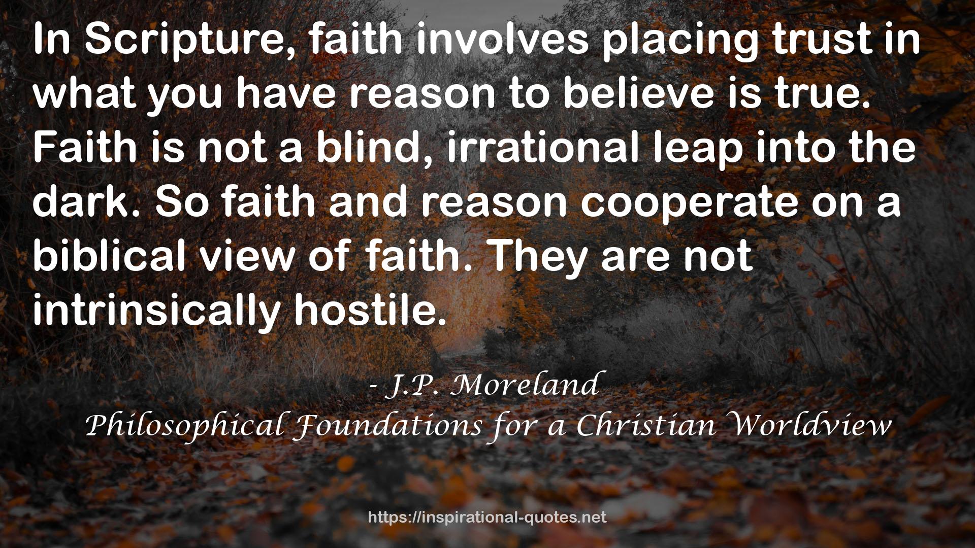 Philosophical Foundations for a Christian Worldview QUOTES