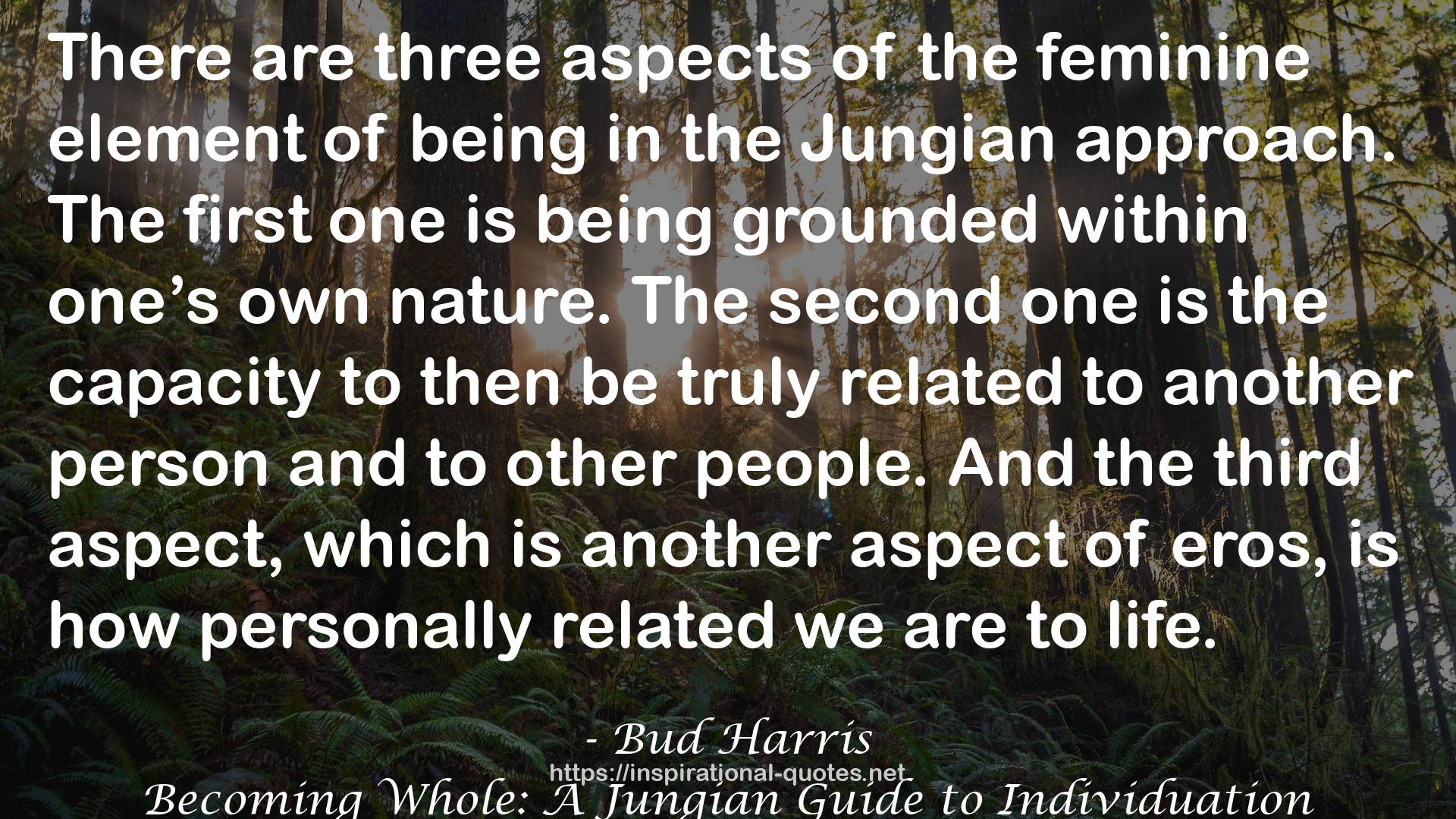 Becoming Whole: A Jungian Guide to Individuation QUOTES