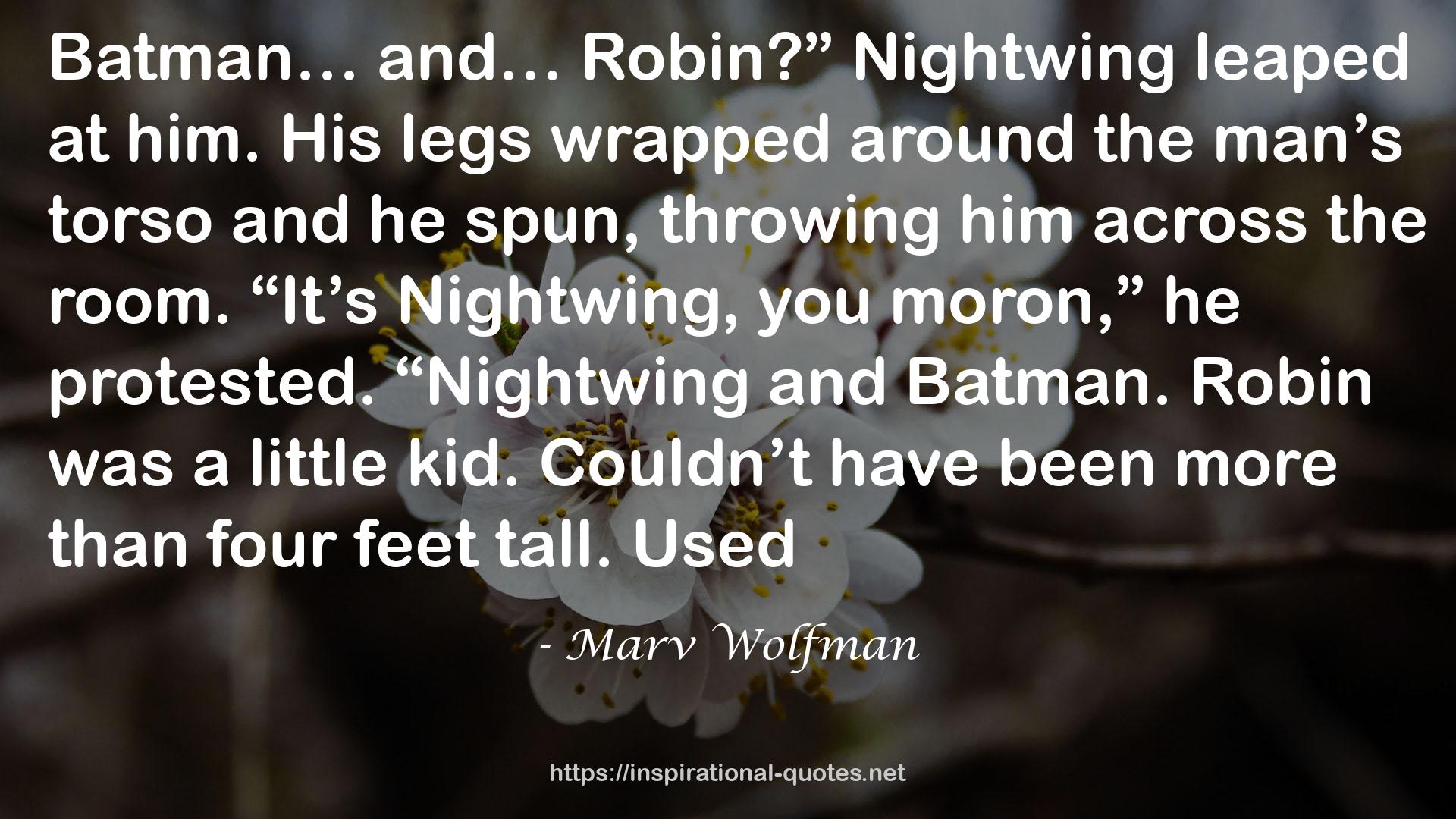 Marv Wolfman QUOTES