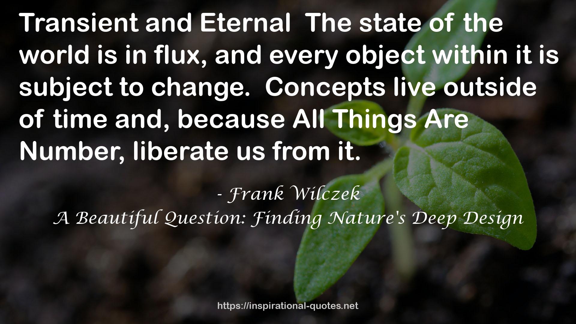 A Beautiful Question: Finding Nature's Deep Design QUOTES