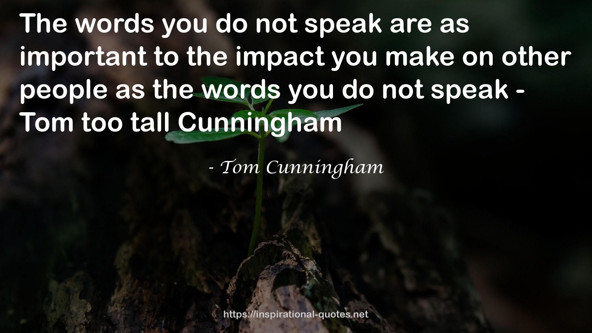 Tom Cunningham QUOTES