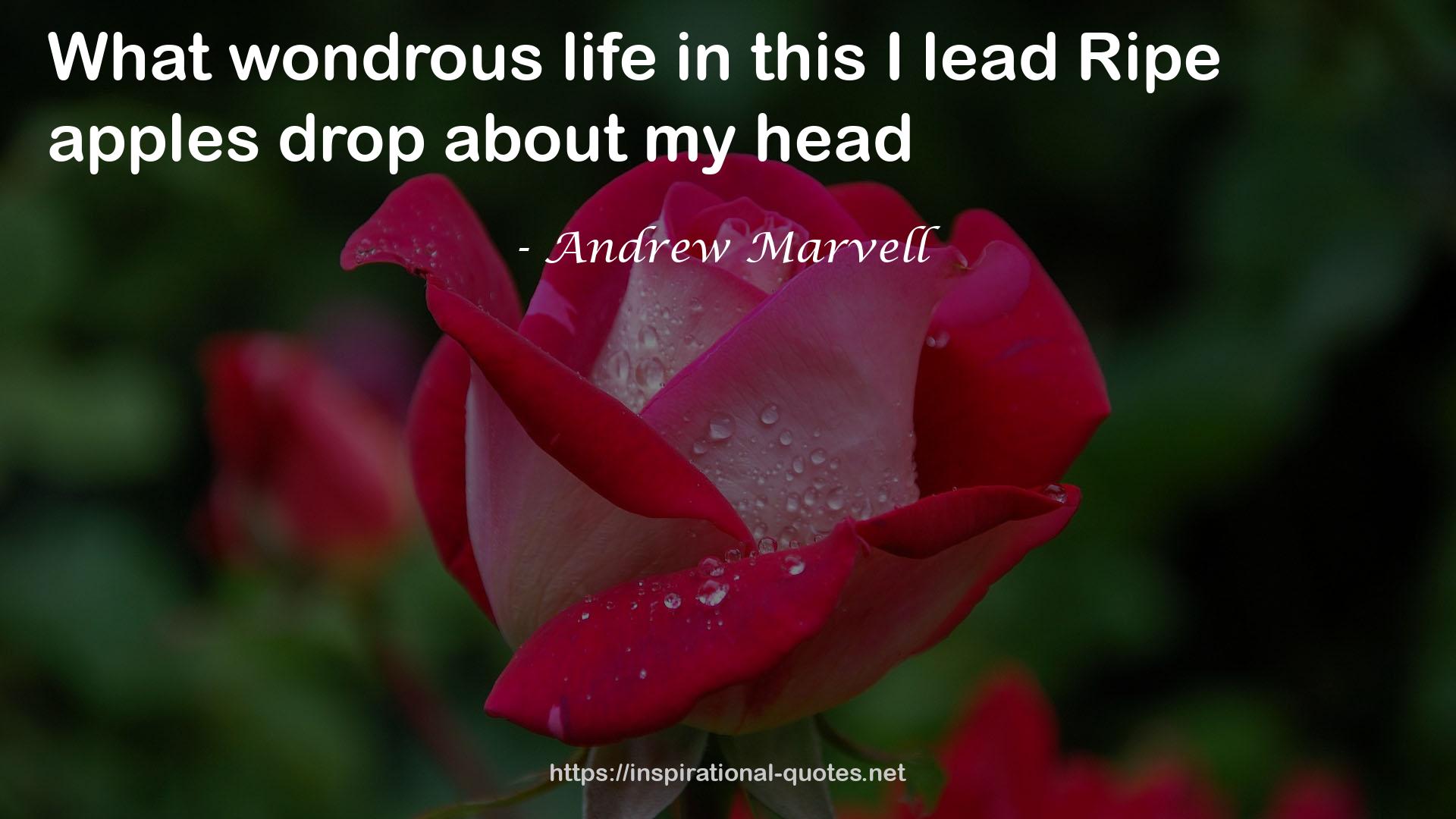 Andrew Marvell QUOTES