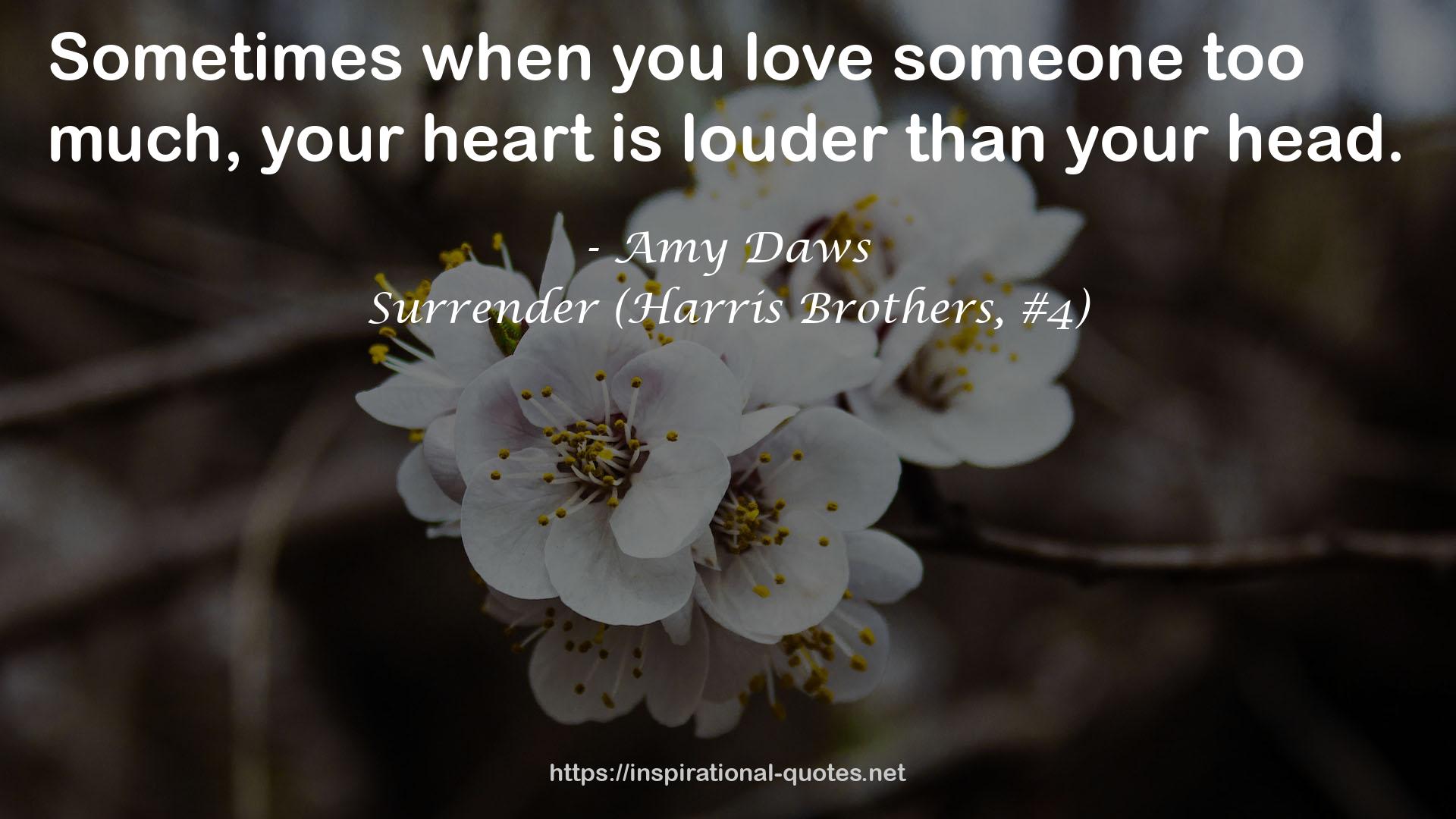 Surrender (Harris Brothers, #4) QUOTES