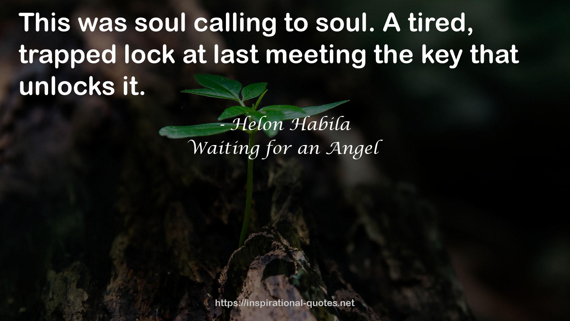 Waiting for an Angel QUOTES