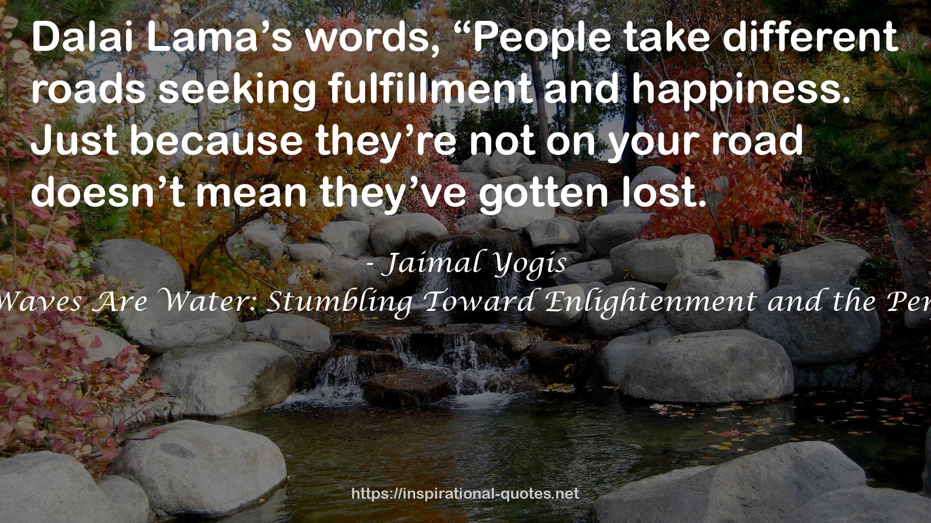 All Our Waves Are Water: Stumbling Toward Enlightenment and the Perfect Ride QUOTES