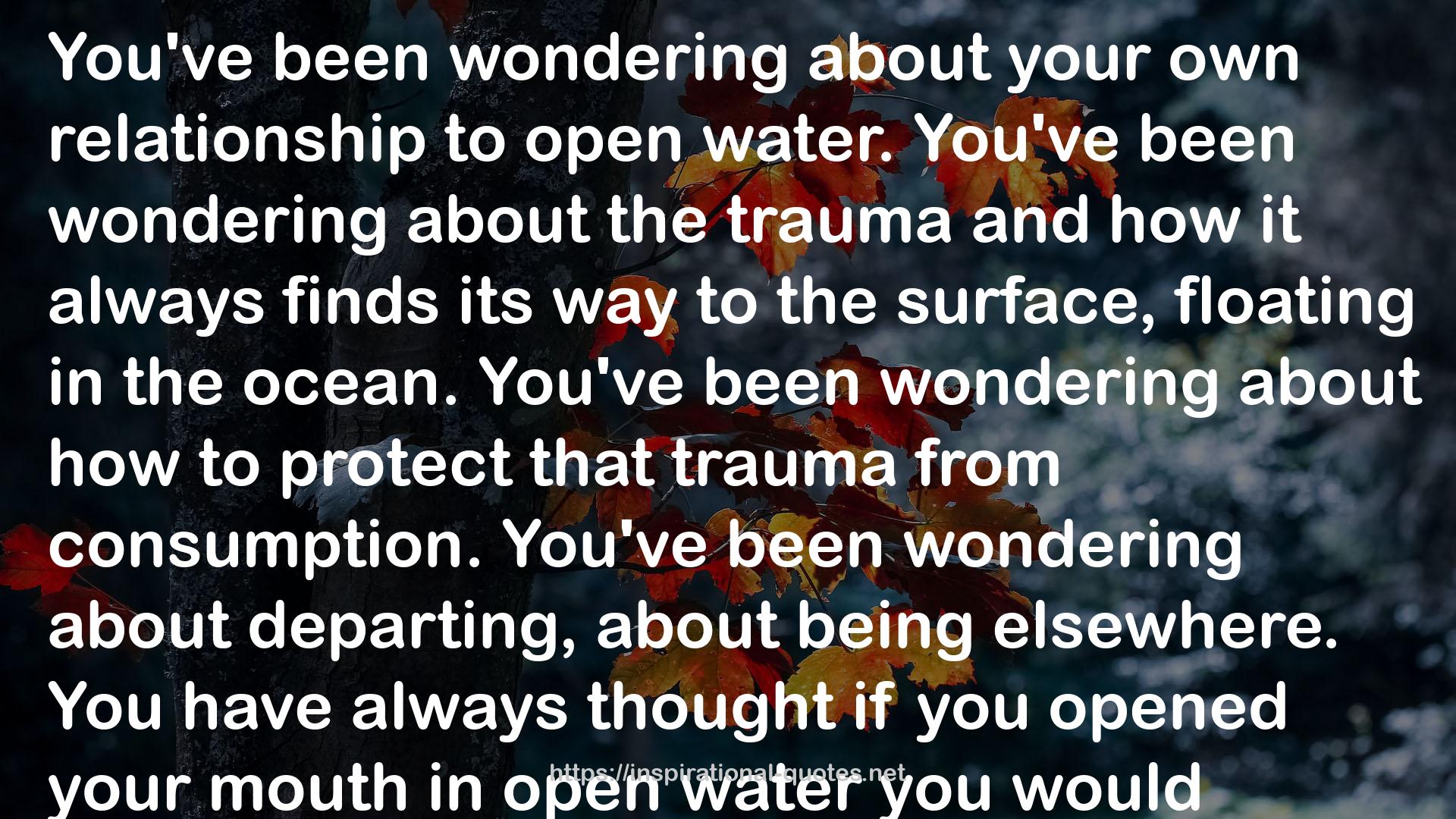 Open Water QUOTES