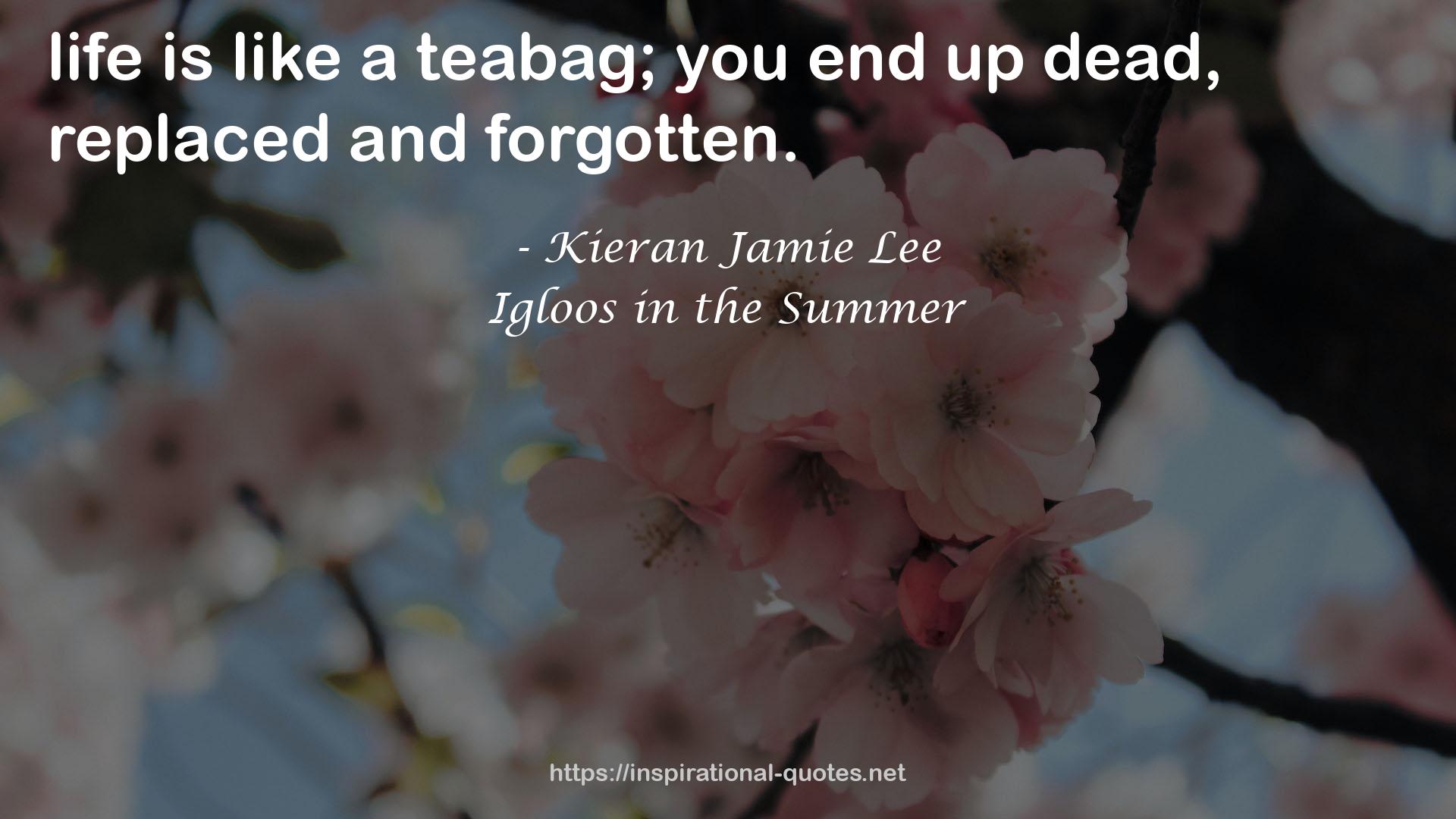 Igloos in the Summer QUOTES