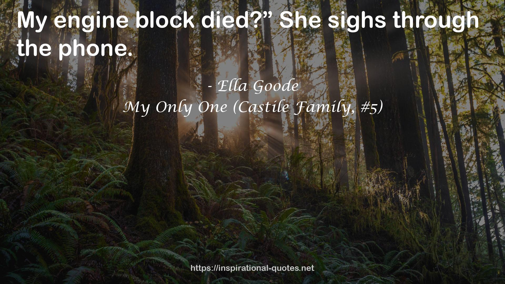 My Only One (Castile Family, #5) QUOTES