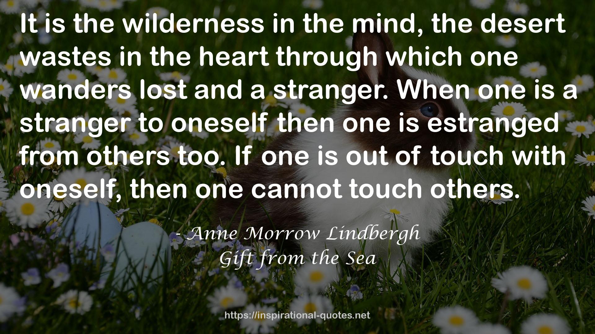 the wilderness  QUOTES