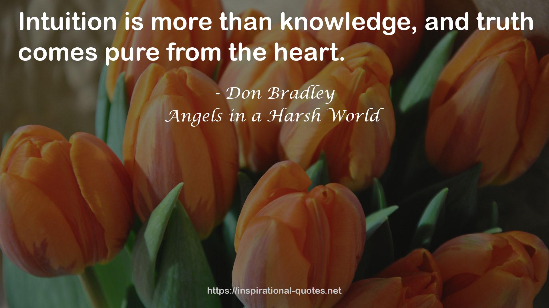 Angels in a Harsh World QUOTES