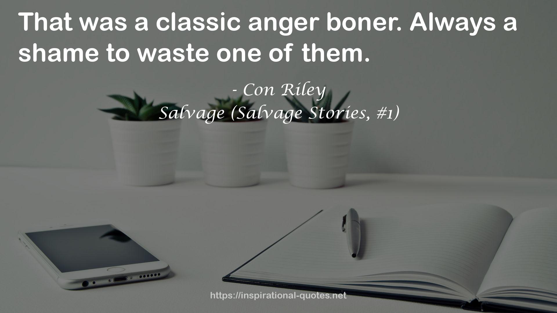 Salvage (Salvage Stories, #1) QUOTES