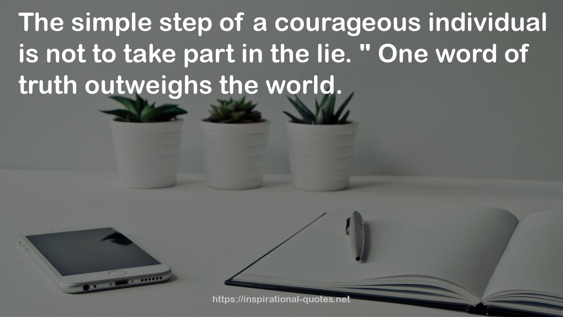 a courageous individual  QUOTES