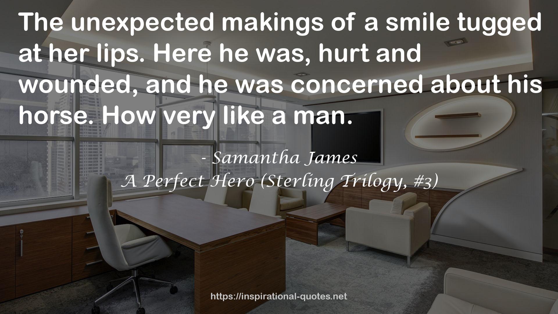 A Perfect Hero (Sterling Trilogy, #3) QUOTES