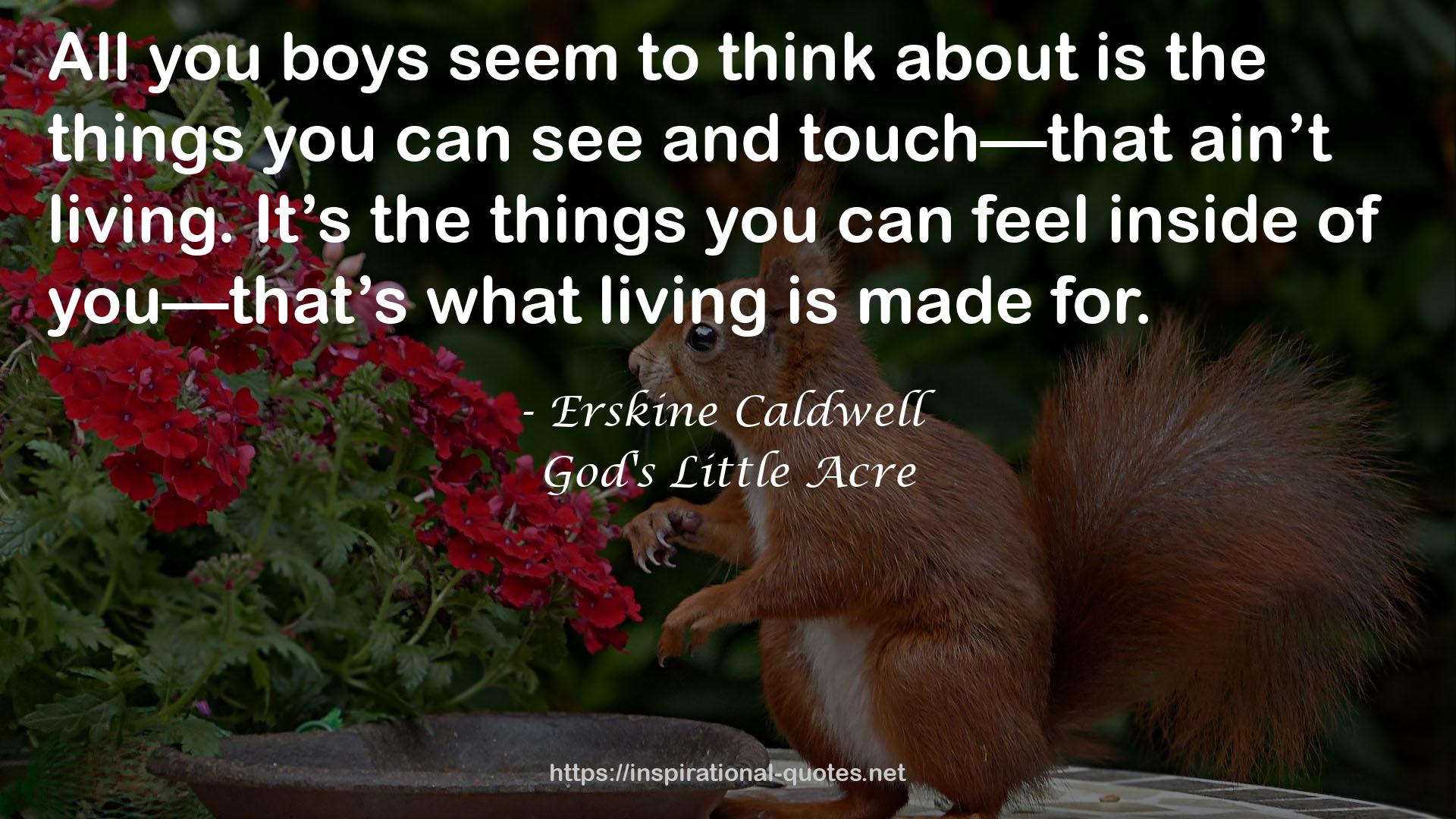 God's Little Acre QUOTES