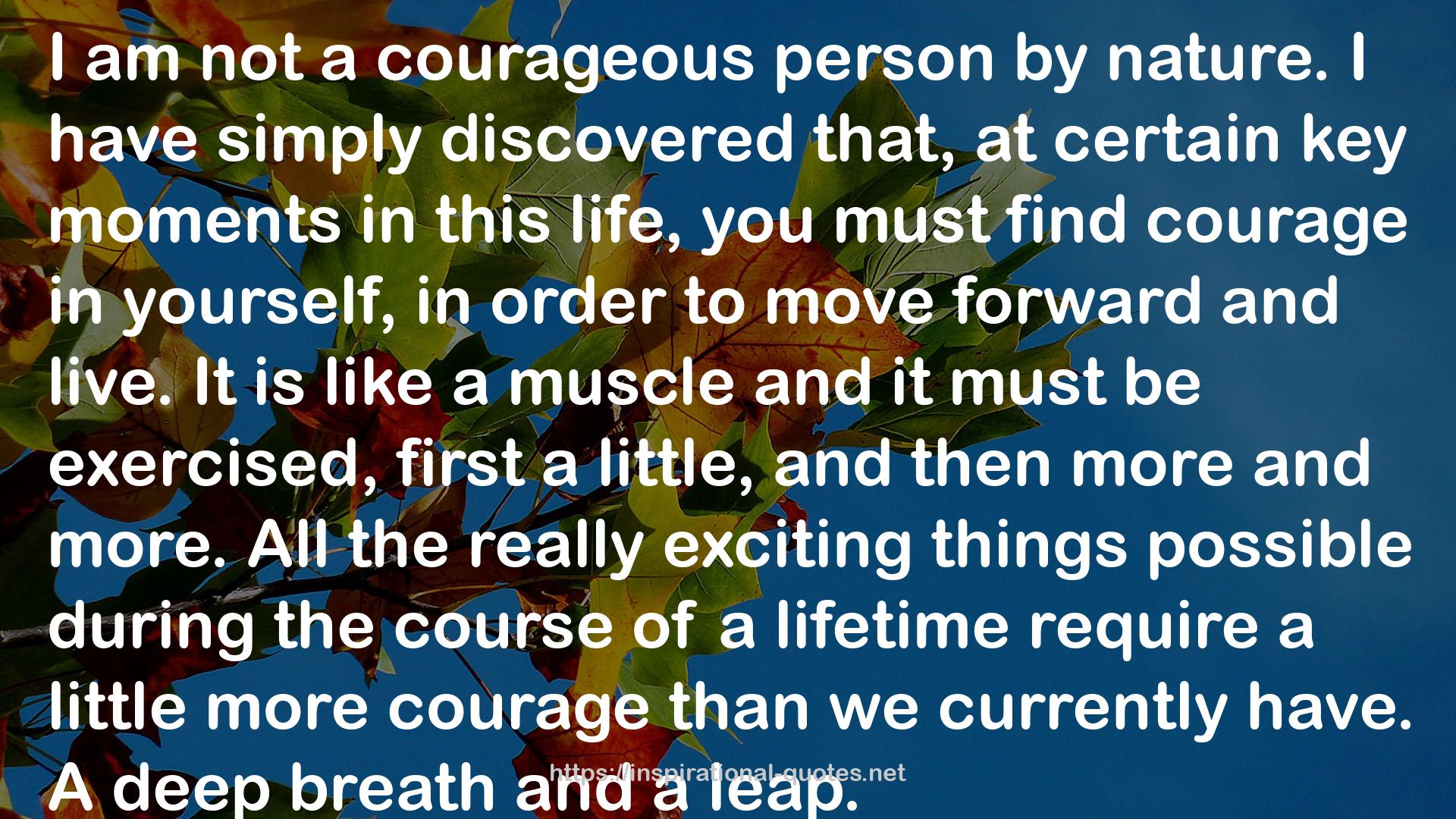 a courageous person  QUOTES