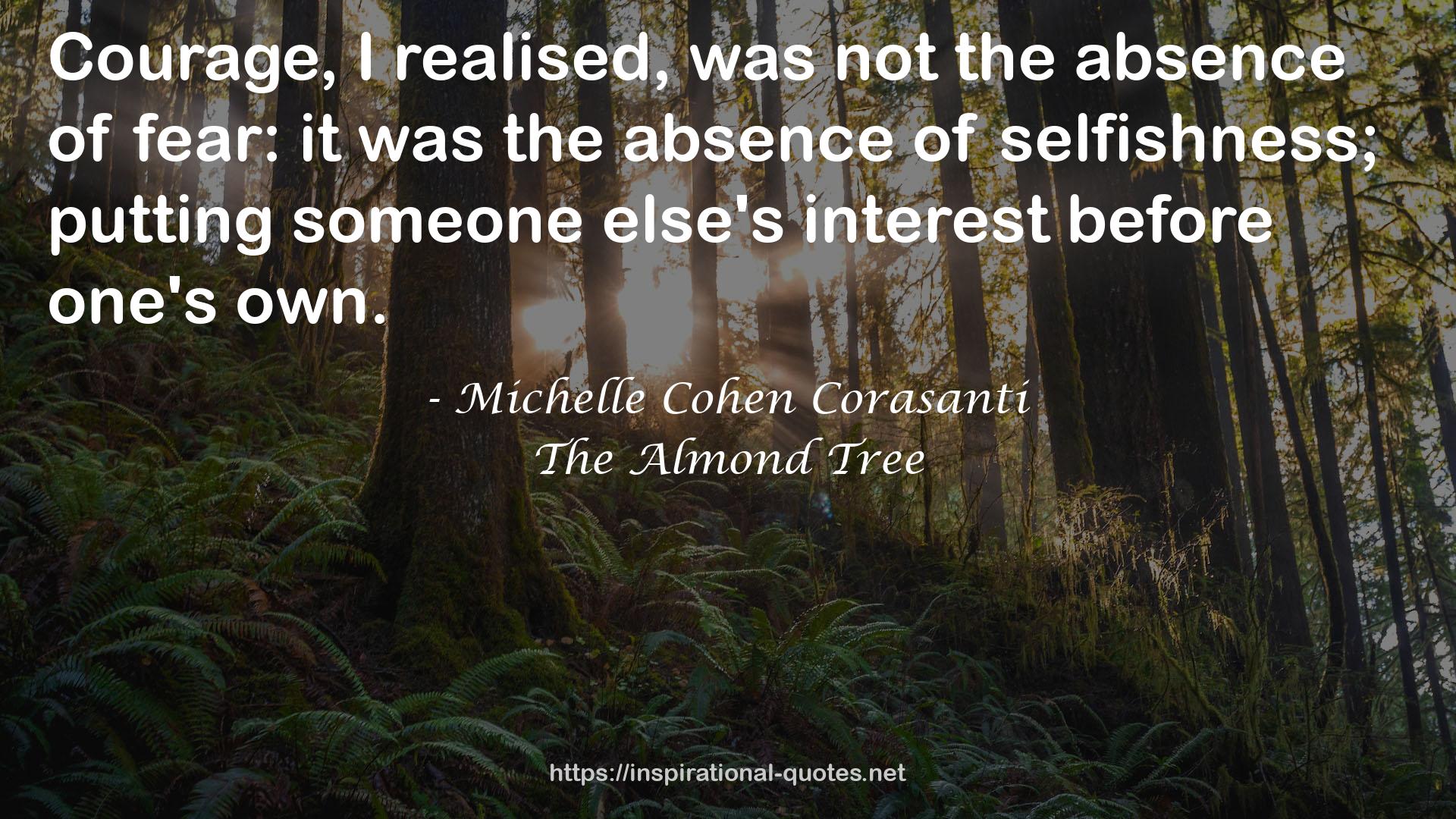 Michelle Cohen Corasanti QUOTES