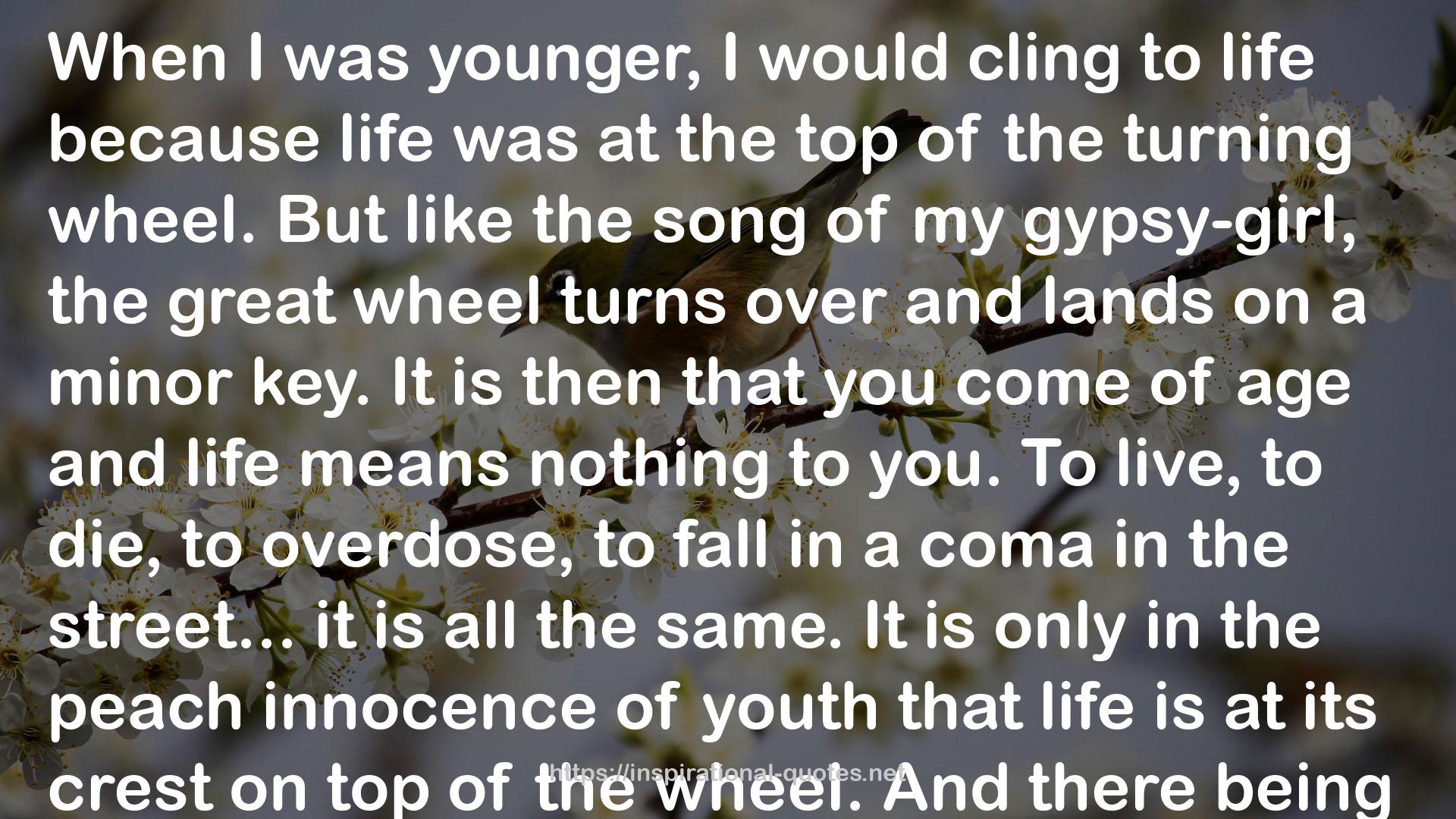 the great wheel  QUOTES