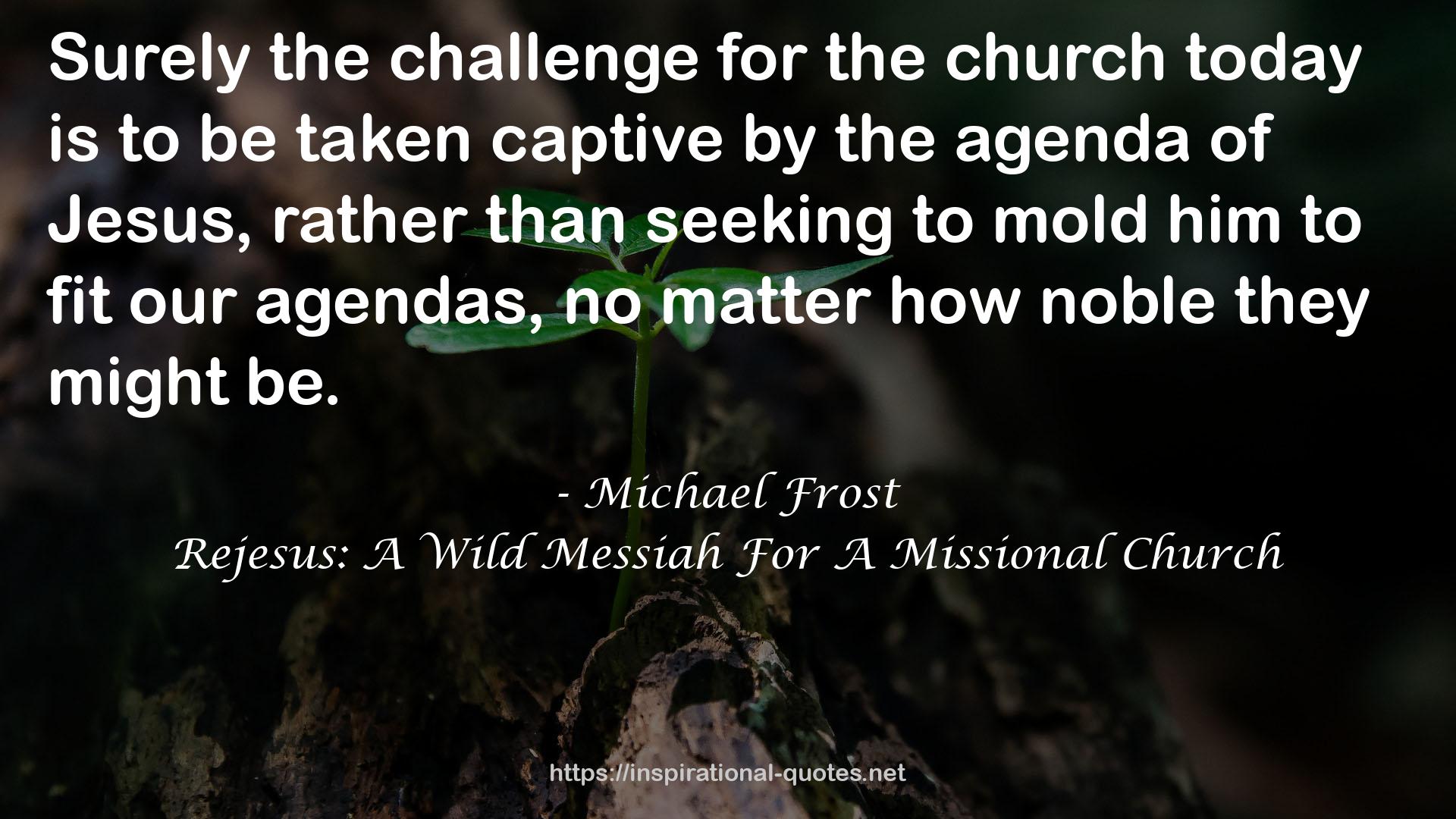 Rejesus: A Wild Messiah For A Missional Church QUOTES