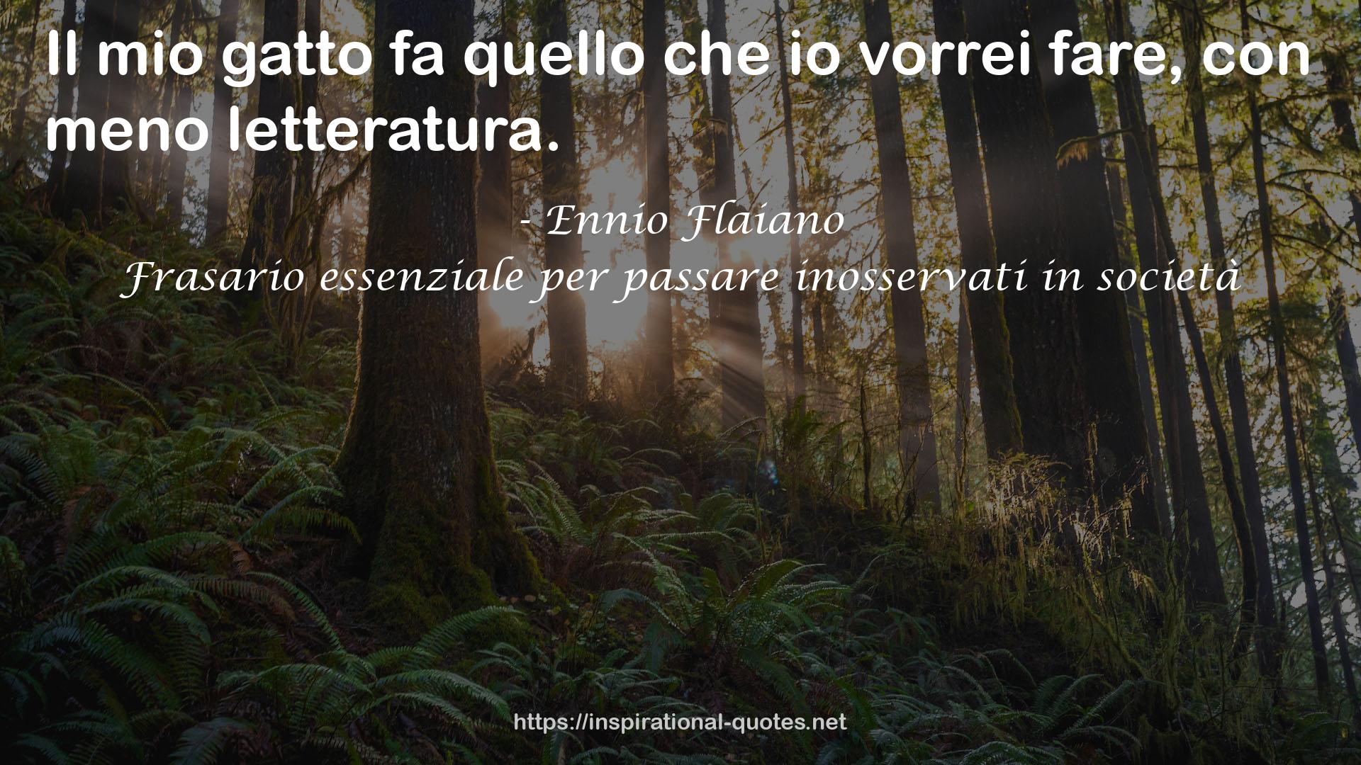 Frasario essenziale per passare inosservati in società QUOTES