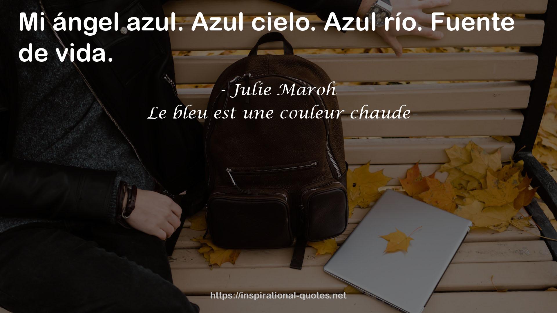 Julie Maroh QUOTES