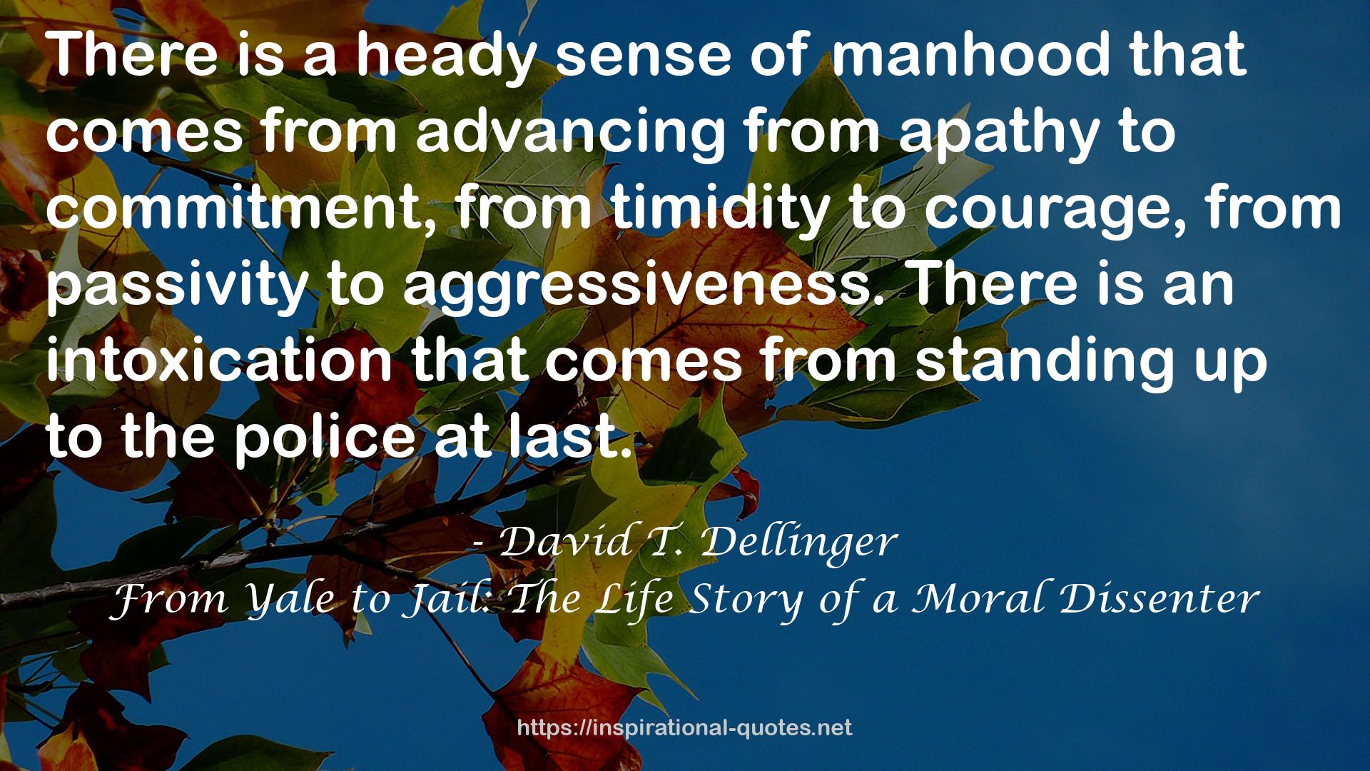 From Yale to Jail: The Life Story of a Moral Dissenter QUOTES