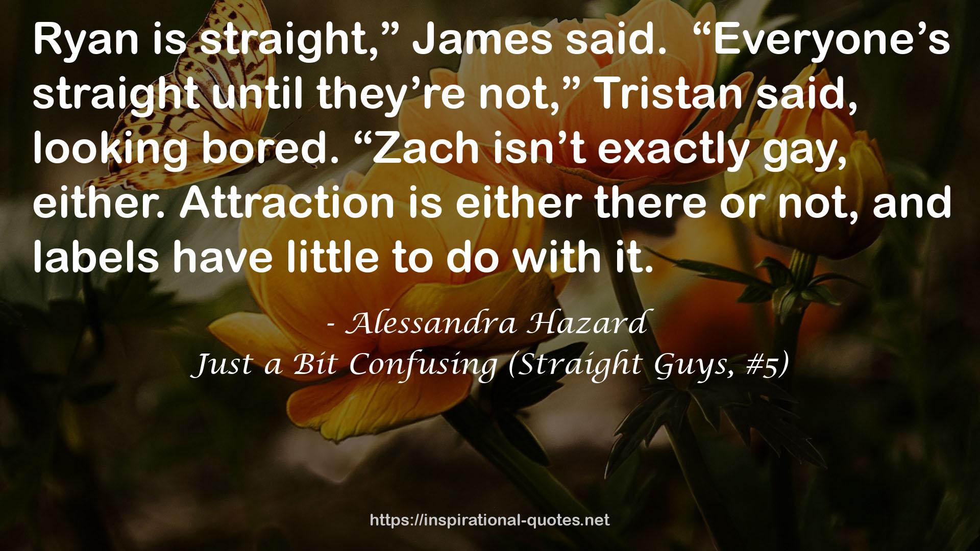 Just a Bit Confusing (Straight Guys, #5) QUOTES