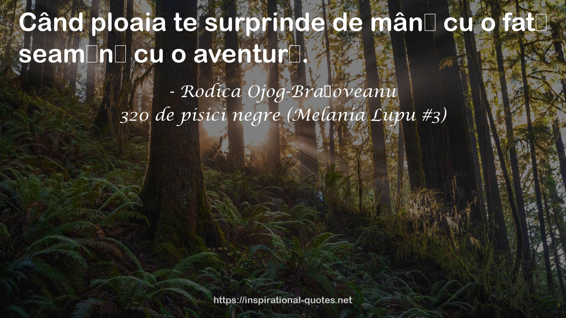 320 de pisici negre (Melania Lupu #3) QUOTES