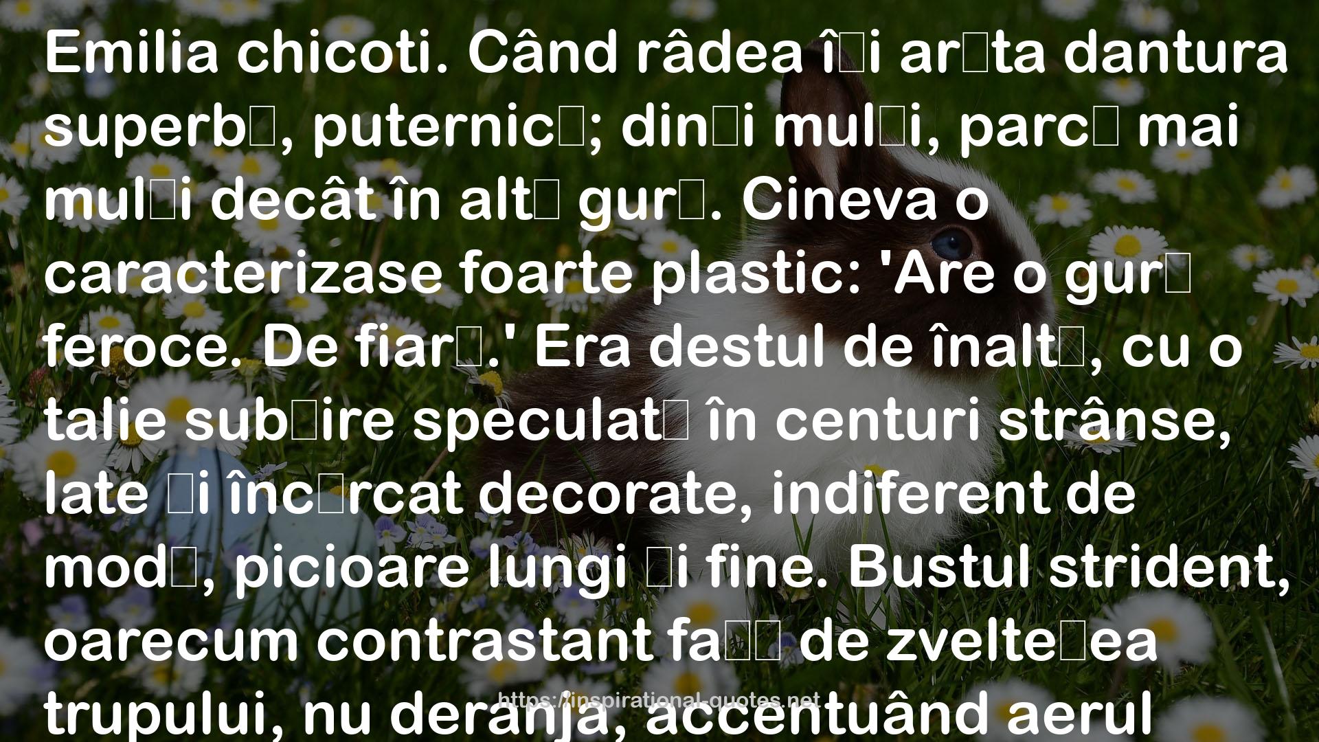 Dispariţia statuii din parc (Melania Lupu #5) QUOTES