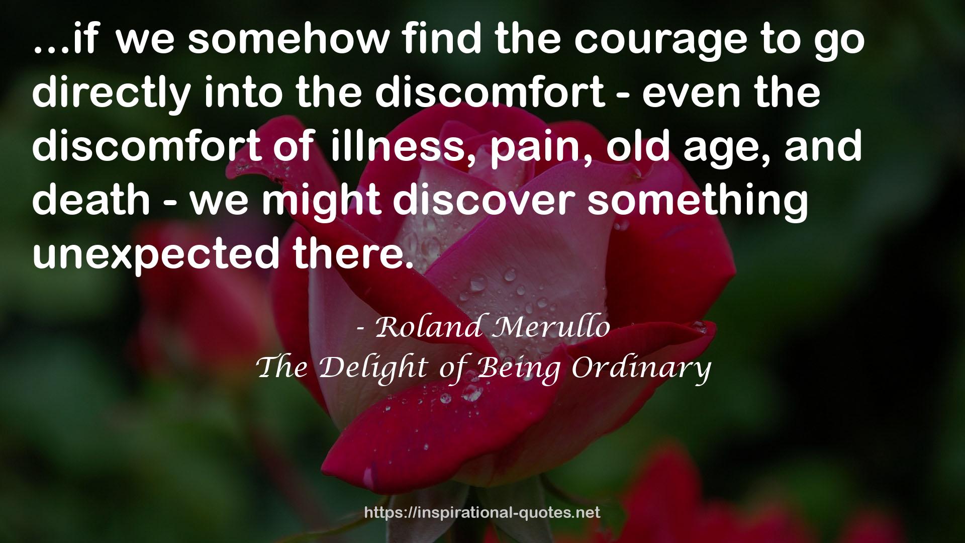 The Delight of Being Ordinary QUOTES
