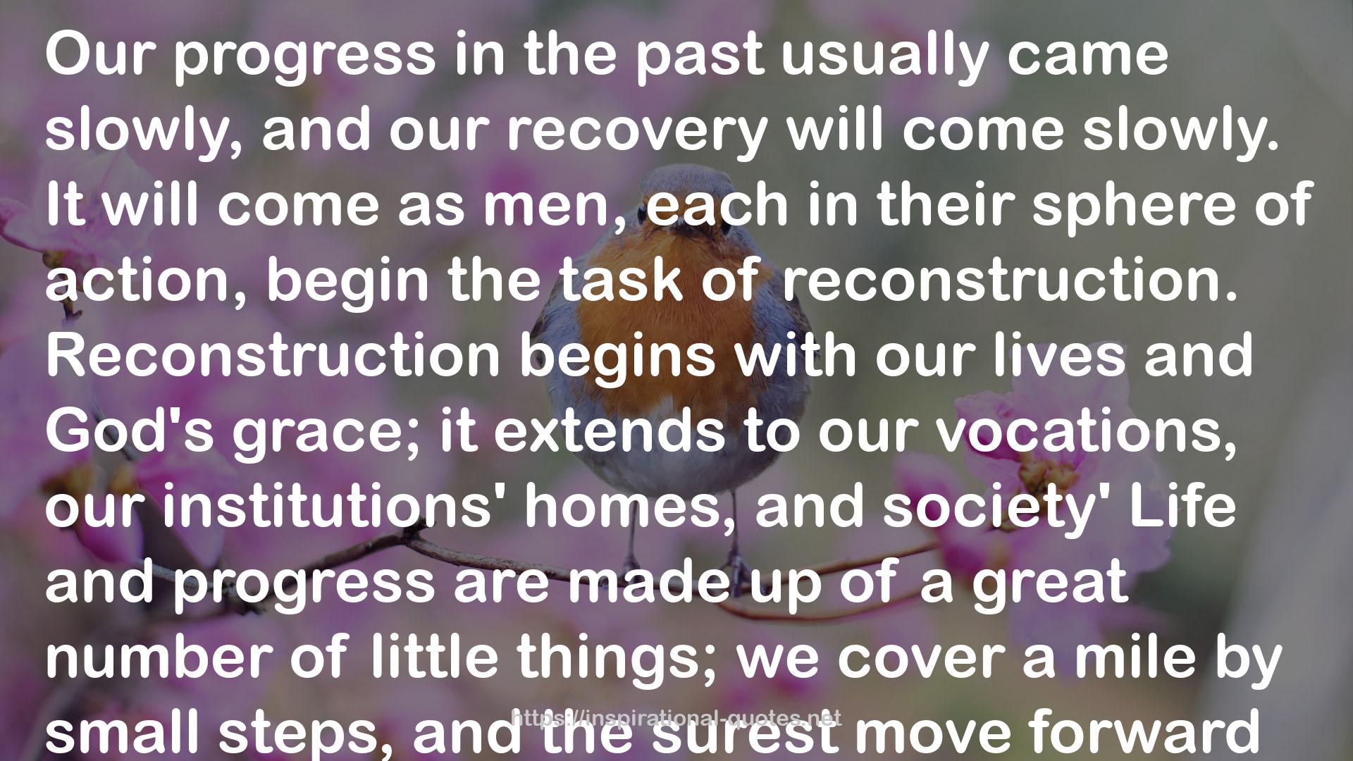 The Roots of Reconstruction QUOTES