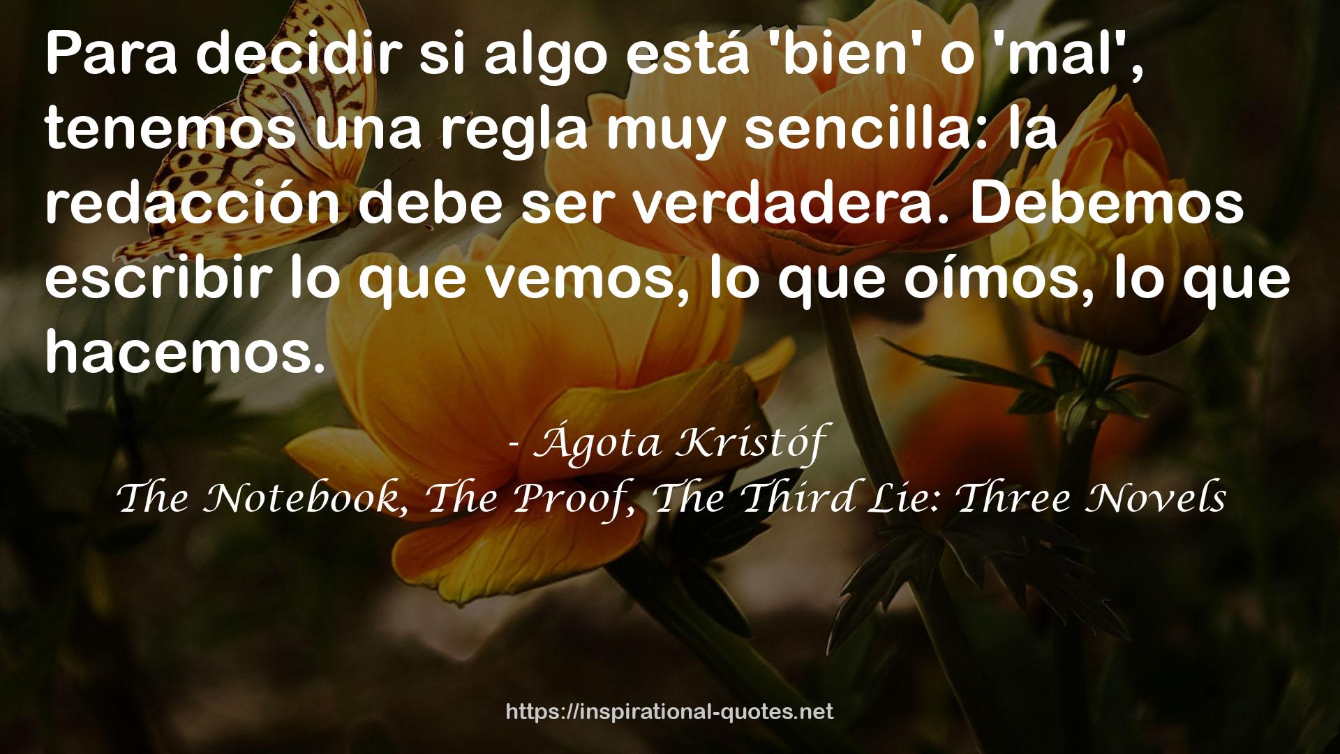 The Notebook, The Proof, The Third Lie: Three Novels QUOTES