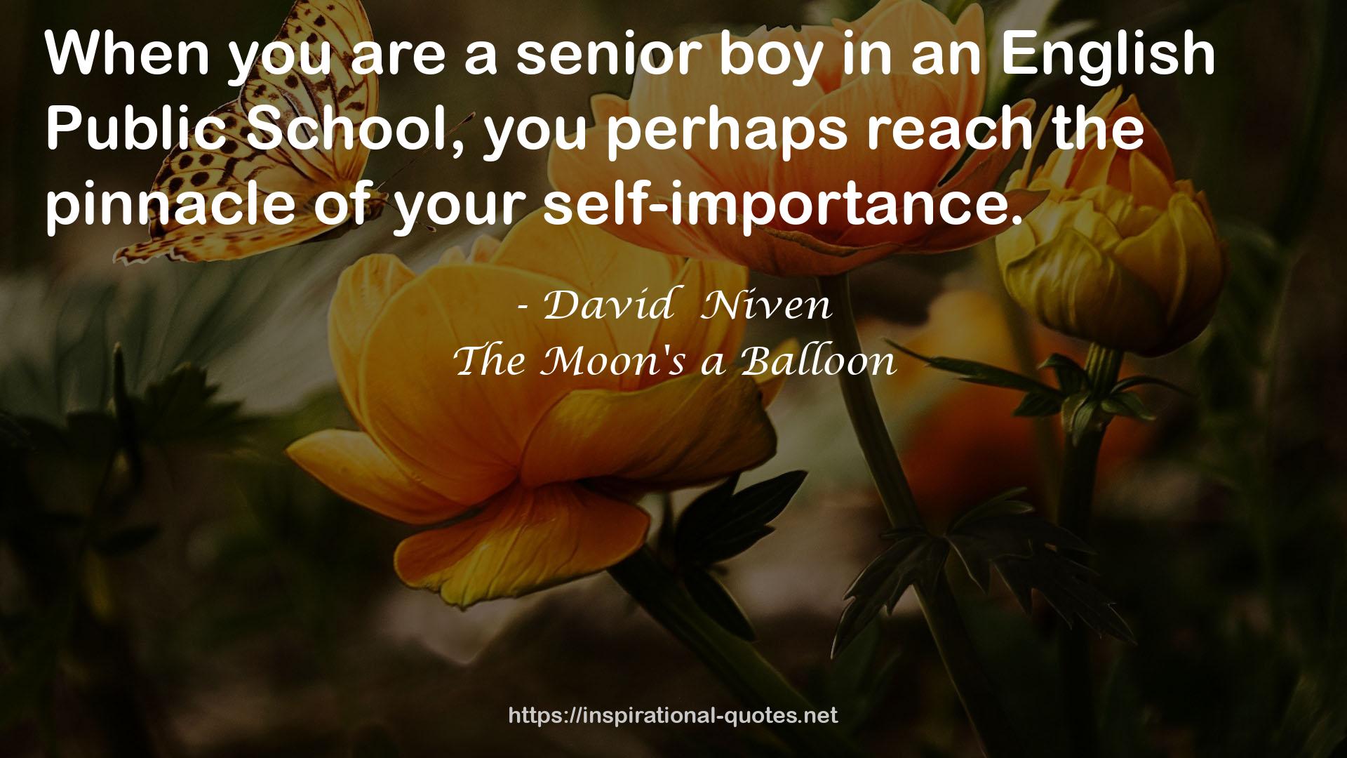 The Moon's a Balloon QUOTES